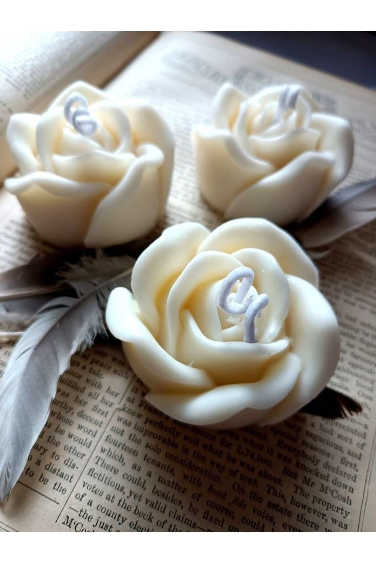 Candle Mum Mum & Kandil