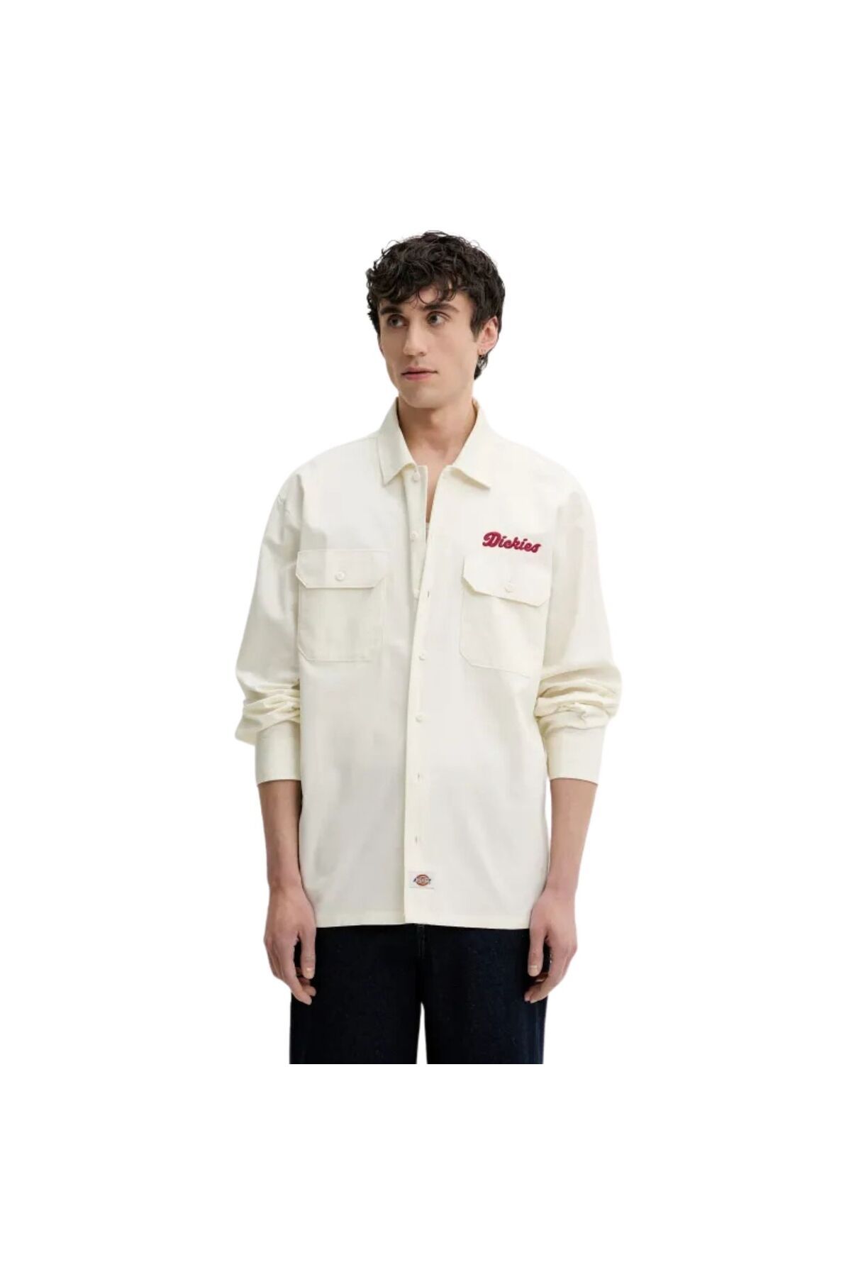 Dickies LEWISTOWN LS SHIRT