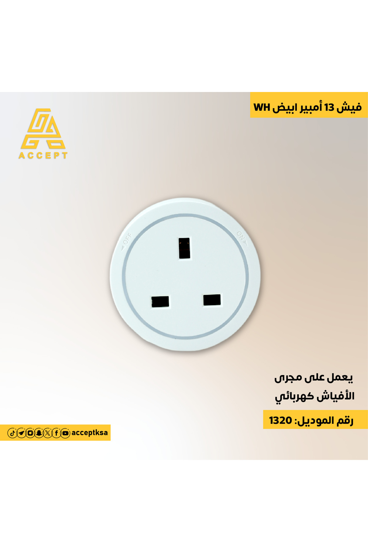 ACCEPT-13 Amp Electrical Plug Socket 1