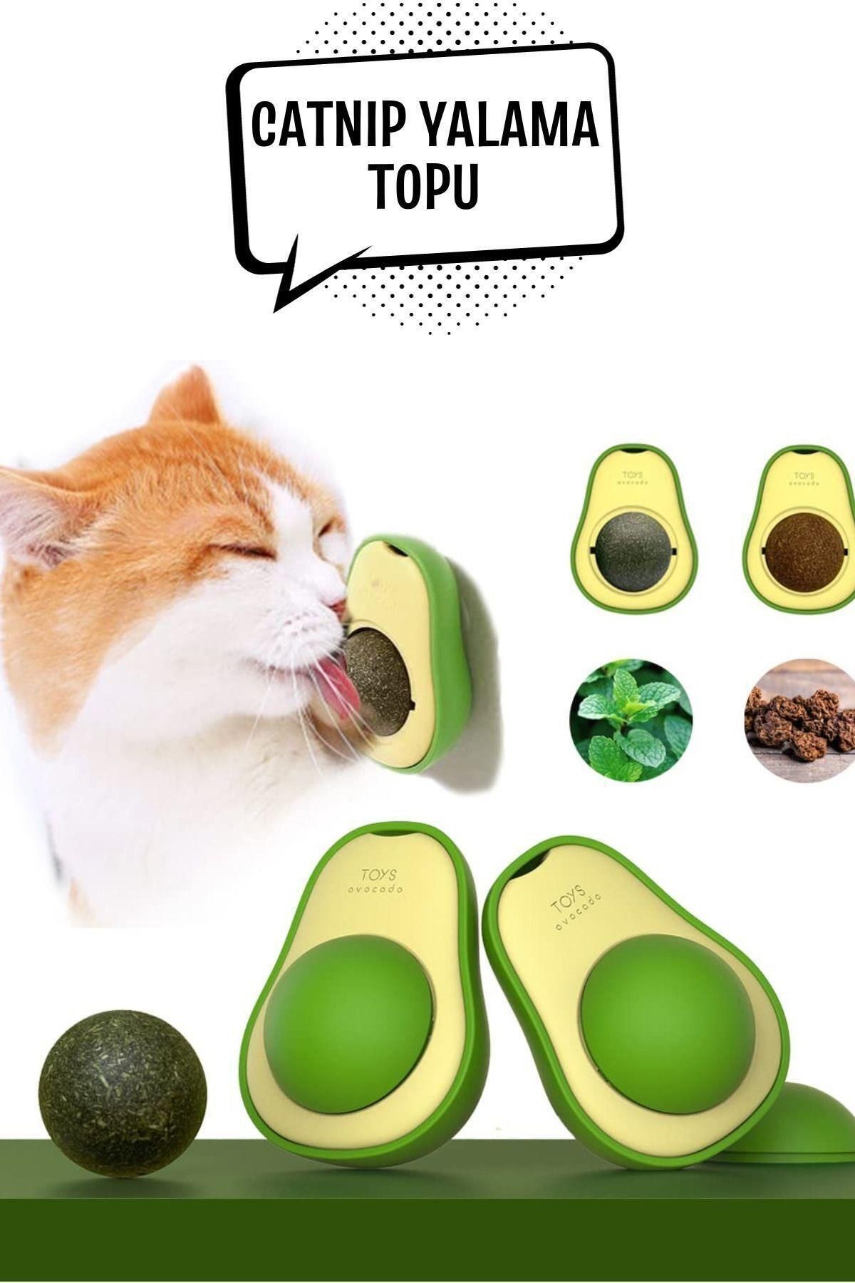 jetfast-Natural Catnip Edible Rotating Catnip Herb Play Ball Ball Toy Cat Licking Ball Avocado 6