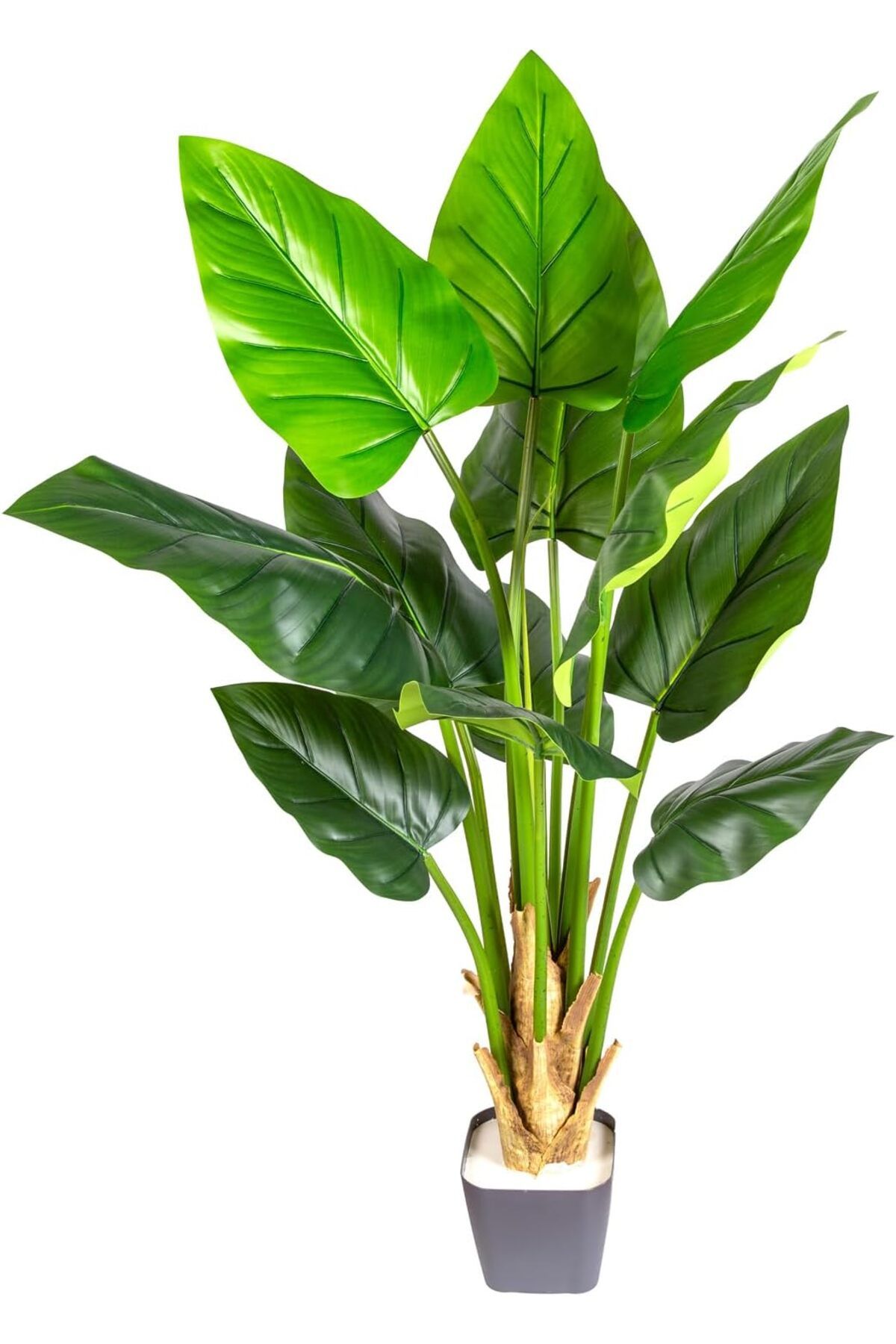 STOREMAX OZN Yapay Beryl Tree Gerçek Dokulu 12 Yaprak 135 Cm. OZNstre 1094633