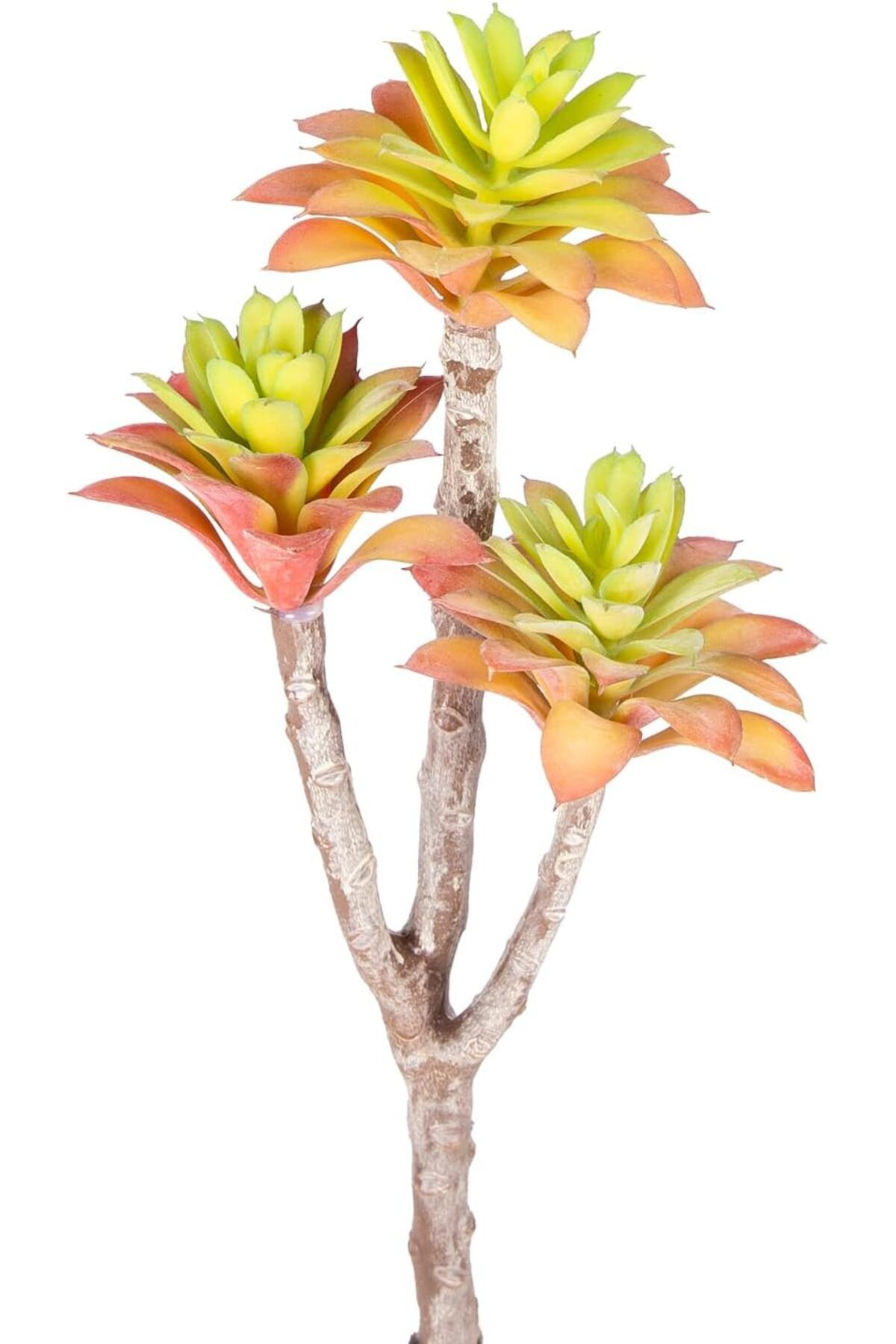 Mu Art Ahşap Mrt Yapay Kaktüs Sukulent Kırmızı/Yeşil 35 Cm Art 871301