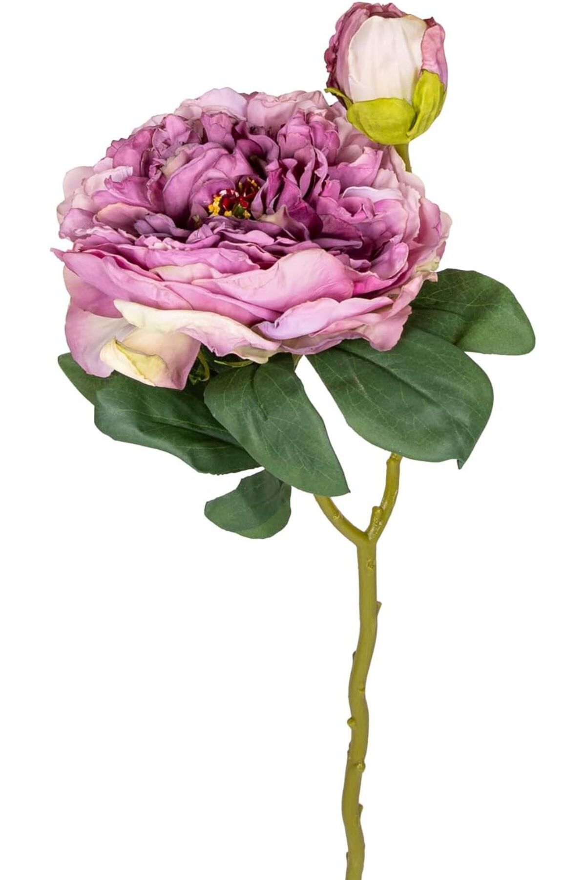 STOREMAX OZN Gül Tomurcuklu Lila 50 Cm. OZNstre 1094633