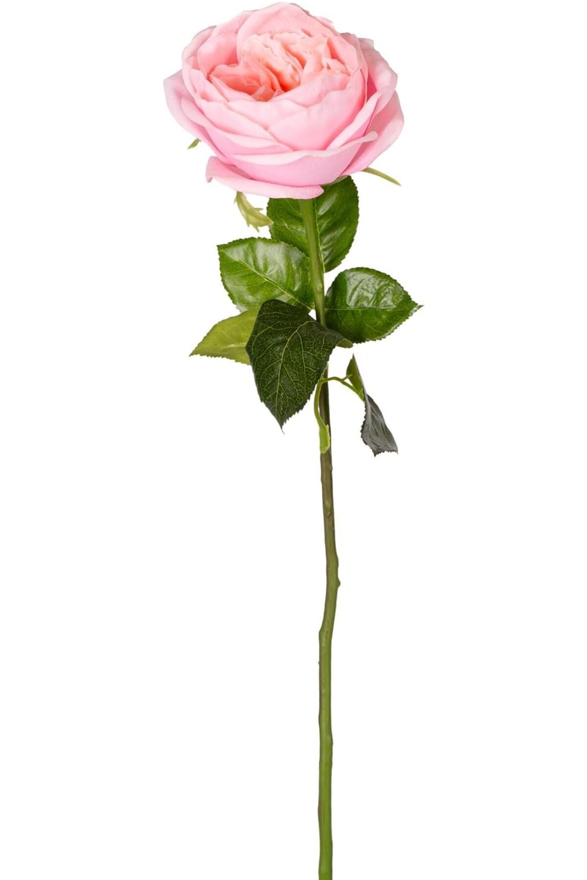 STOREMAX SRT Yapay Çiçek Islak Dokulu Gül Açık Pembe 48 Cm. FxYM 1126906