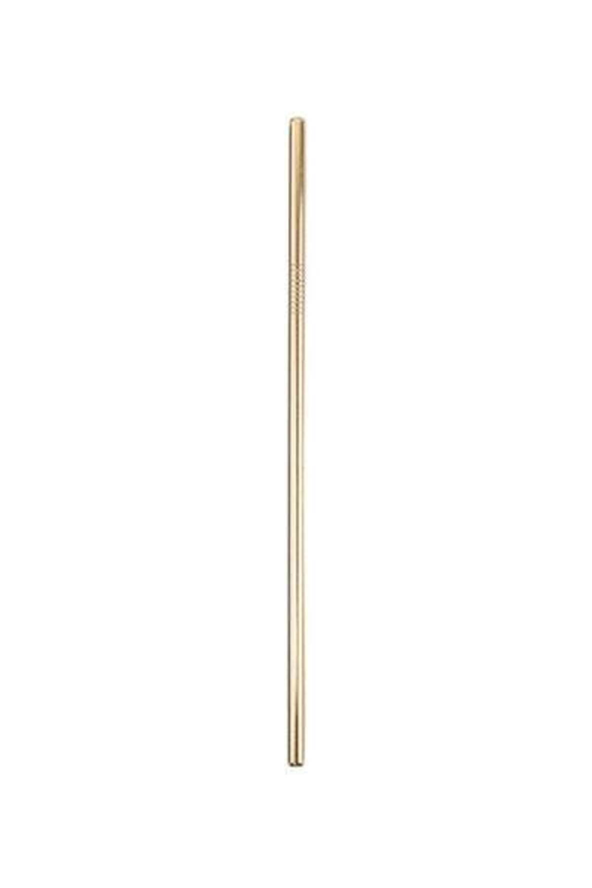 HALAMODO-10-Piece Light Drinking Straw Set Light Gold 21.5x0.6centimeter 2