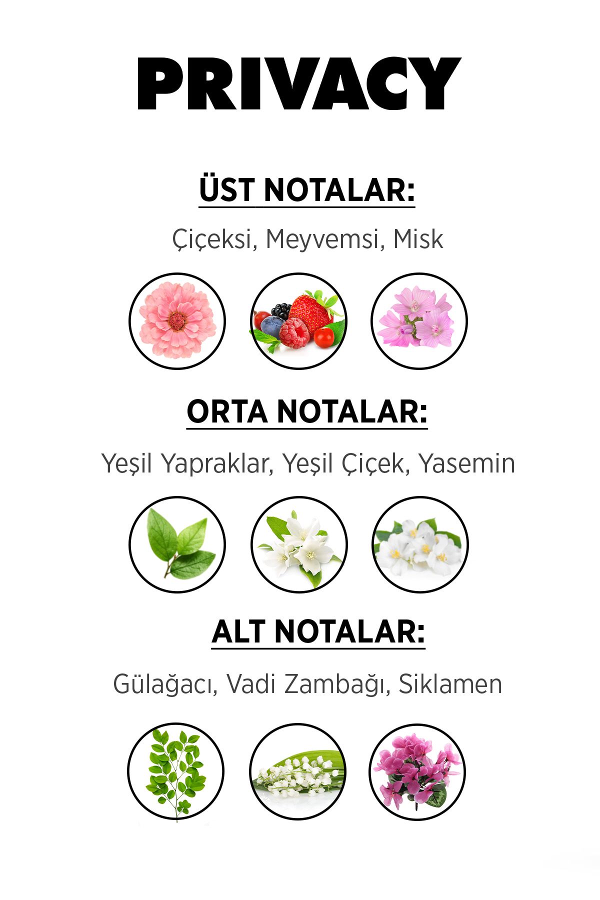 دئودورانت و رول آن زنانه مجموعه جهیزیه عروس عطر ژل دوش اسکراب بدن کرم Emotion