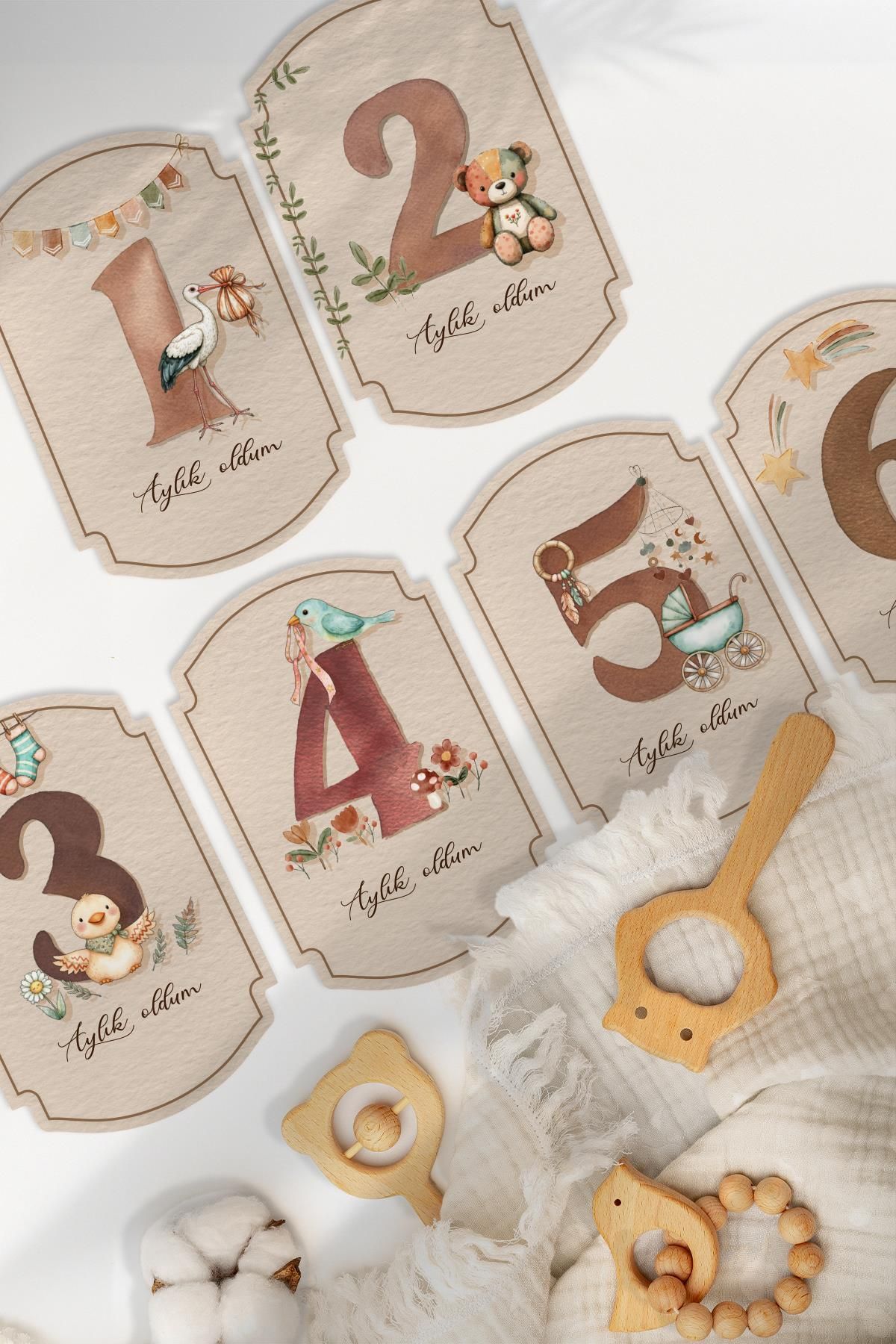 MSticker Bebek Anı Kartları, 22 Adet En Özel Anlar için Anı Kartı / Fotoğraf Figür, Özel Tasarım Saklama Kutu