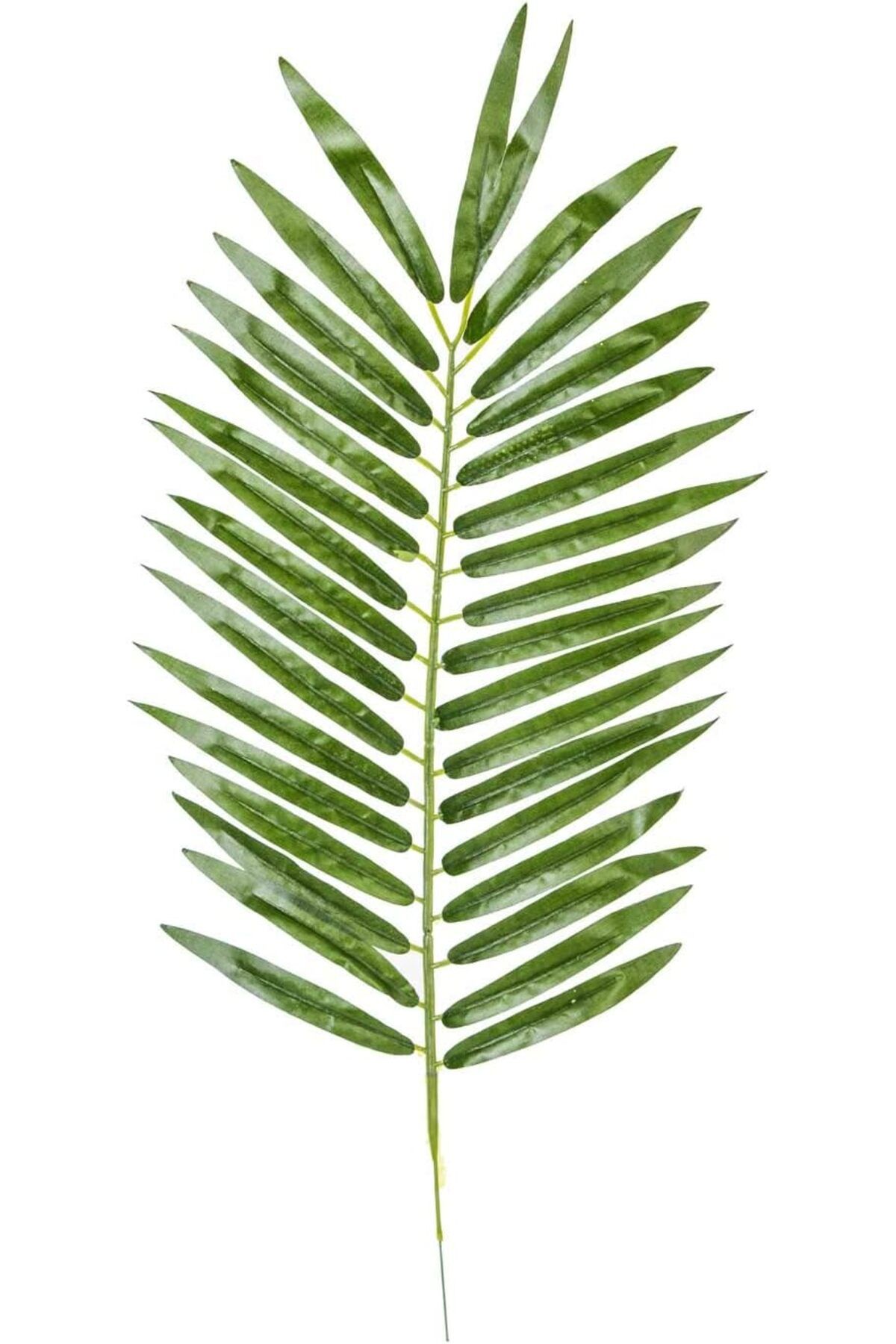 STOREMAX OZN Flora BZEFL44382 Yapay Palmiye Dalı 54 cm OZNstre 1094633