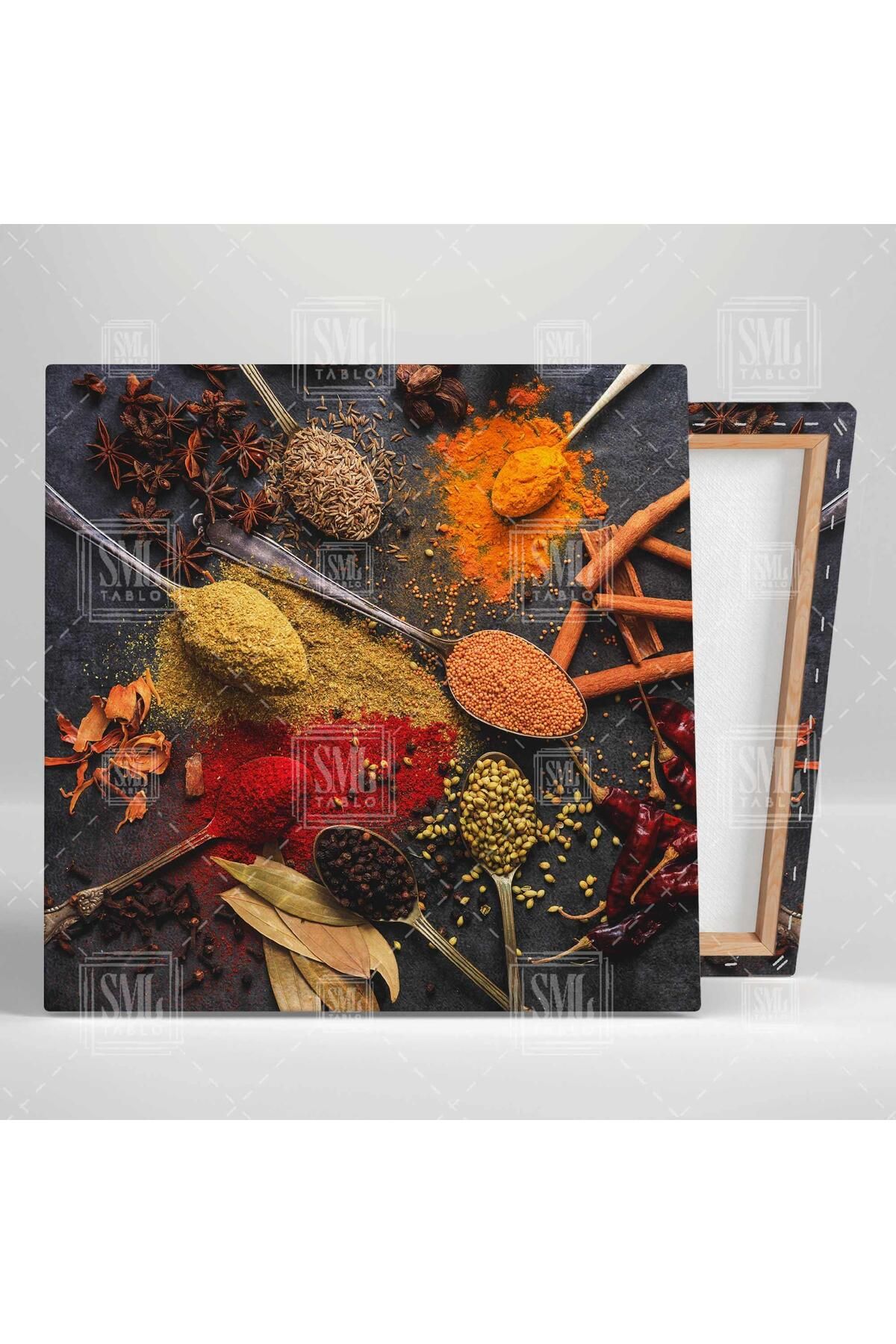 SML TABLO-Condimente uscate colorate Linguriță de argint antic Carcasă de cuișoare Cinnamon Square Canvas Painting 2