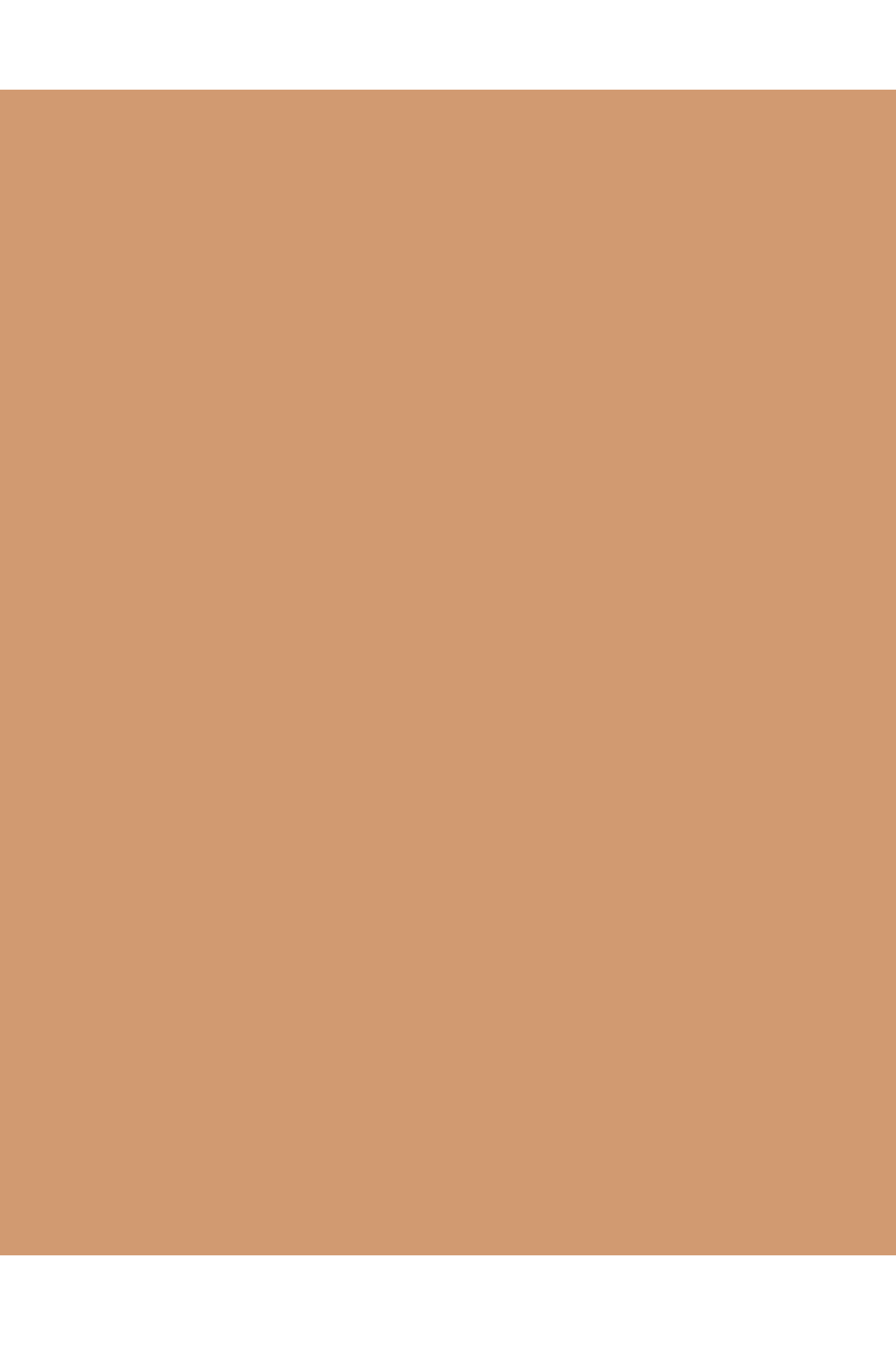 Flormar-مسحوق برونزي BZPW NP-003 برونز نحاسي 4