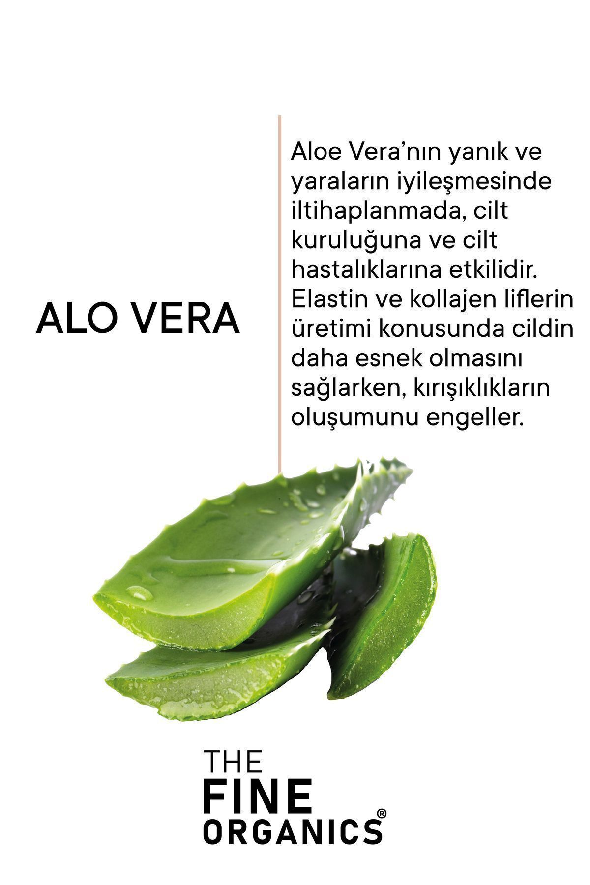 تونر آب گلاب و آلوئه ورا محکم تنگی تونیک 150 میل THE FINE ORGANICS