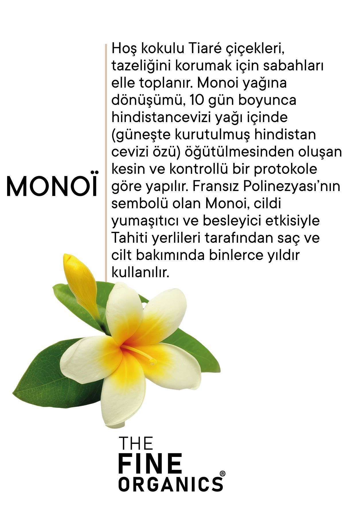 ماسک مو مردانه و زنانه MONOI THERAPY KERATIN & COLLAGEN HYALURONIC ACID سالم ماندن مراقبت از سلامت 300ML THE FINE ORGANICS