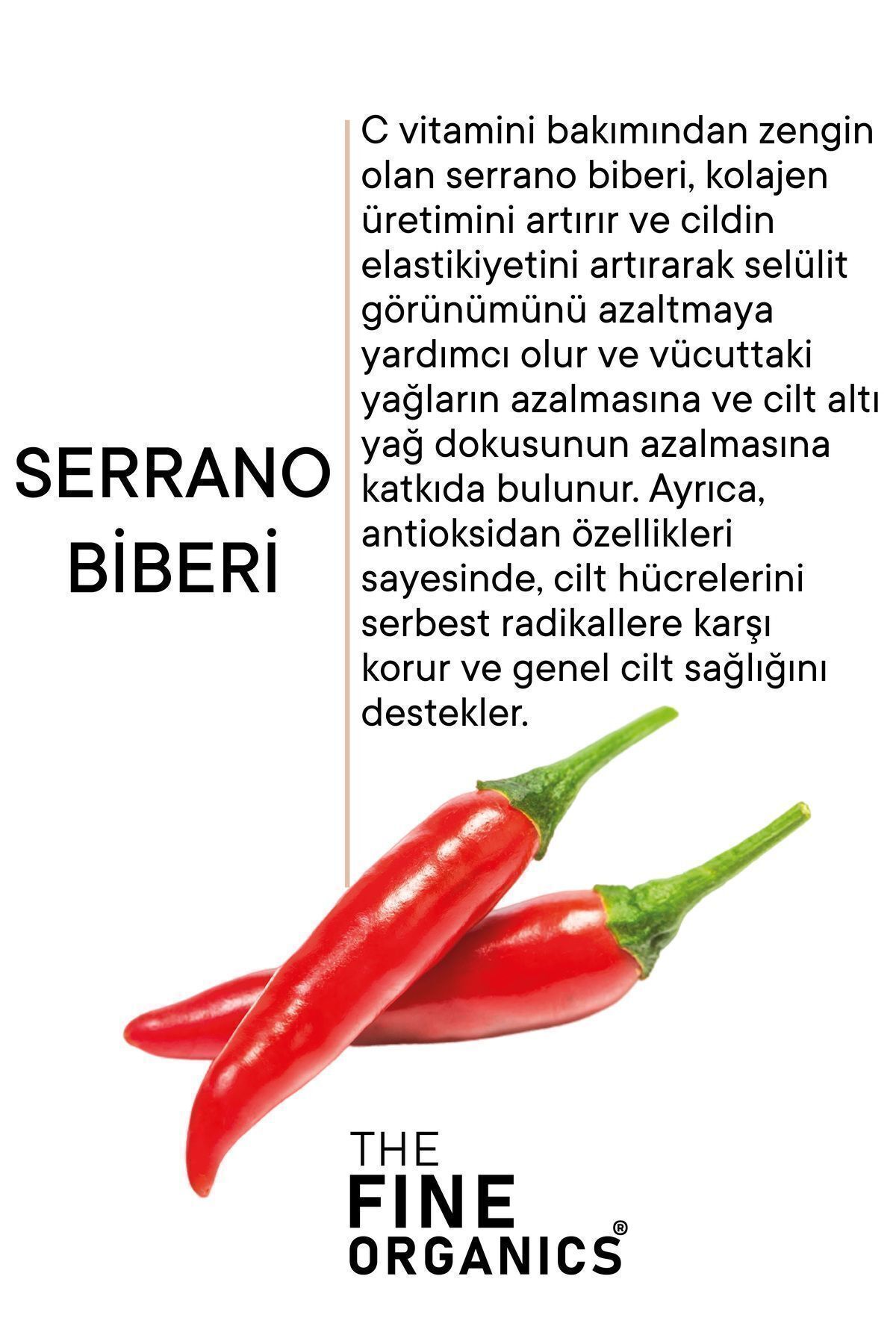 کرم سلولیت فلفل SERRANO سختگیرانه منطقه ای محدود کننده و ضد لپه های ژل لیپولیز سرد 250 میل THE FINE ORGANICS