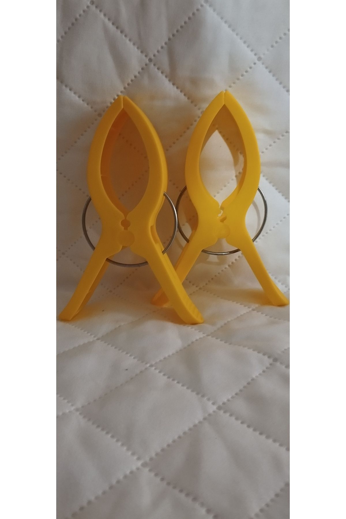 Frater Home 2'Lİ PLAJ HAVLU MANDALI