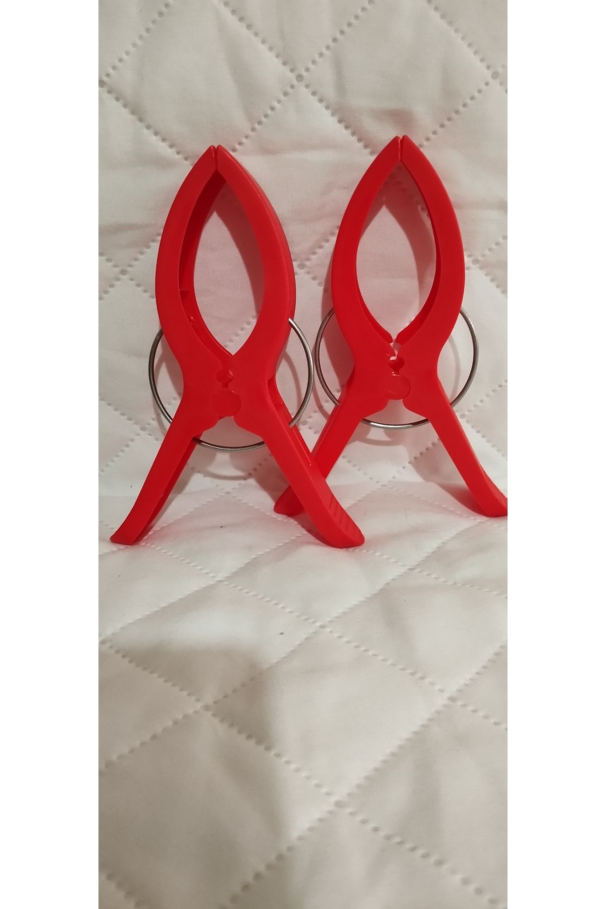 Frater Home 2'Lİ PLAJ HAVLU MANDALI