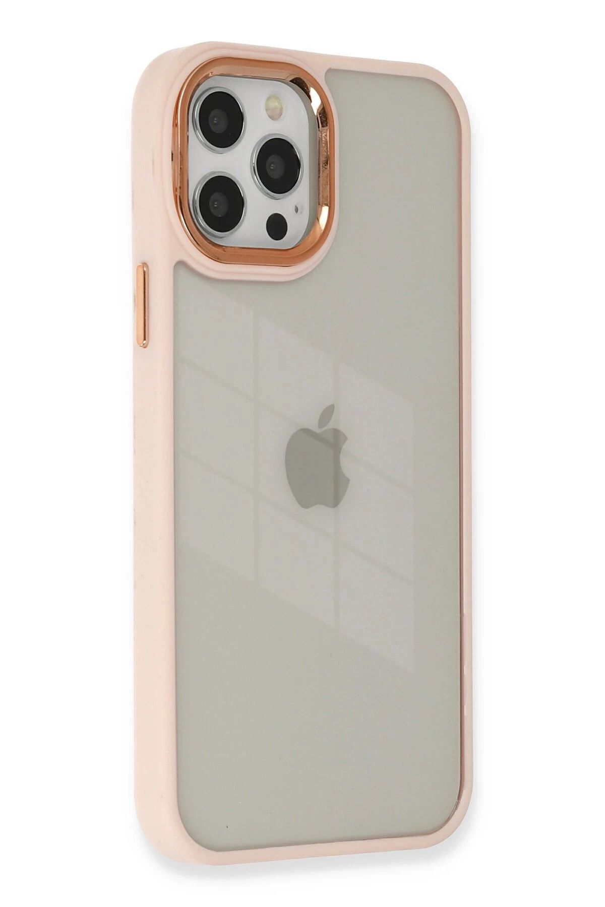 NewFace iPhone 12 Pro Max Kılıf Dora Kapak - Pudra FERRG