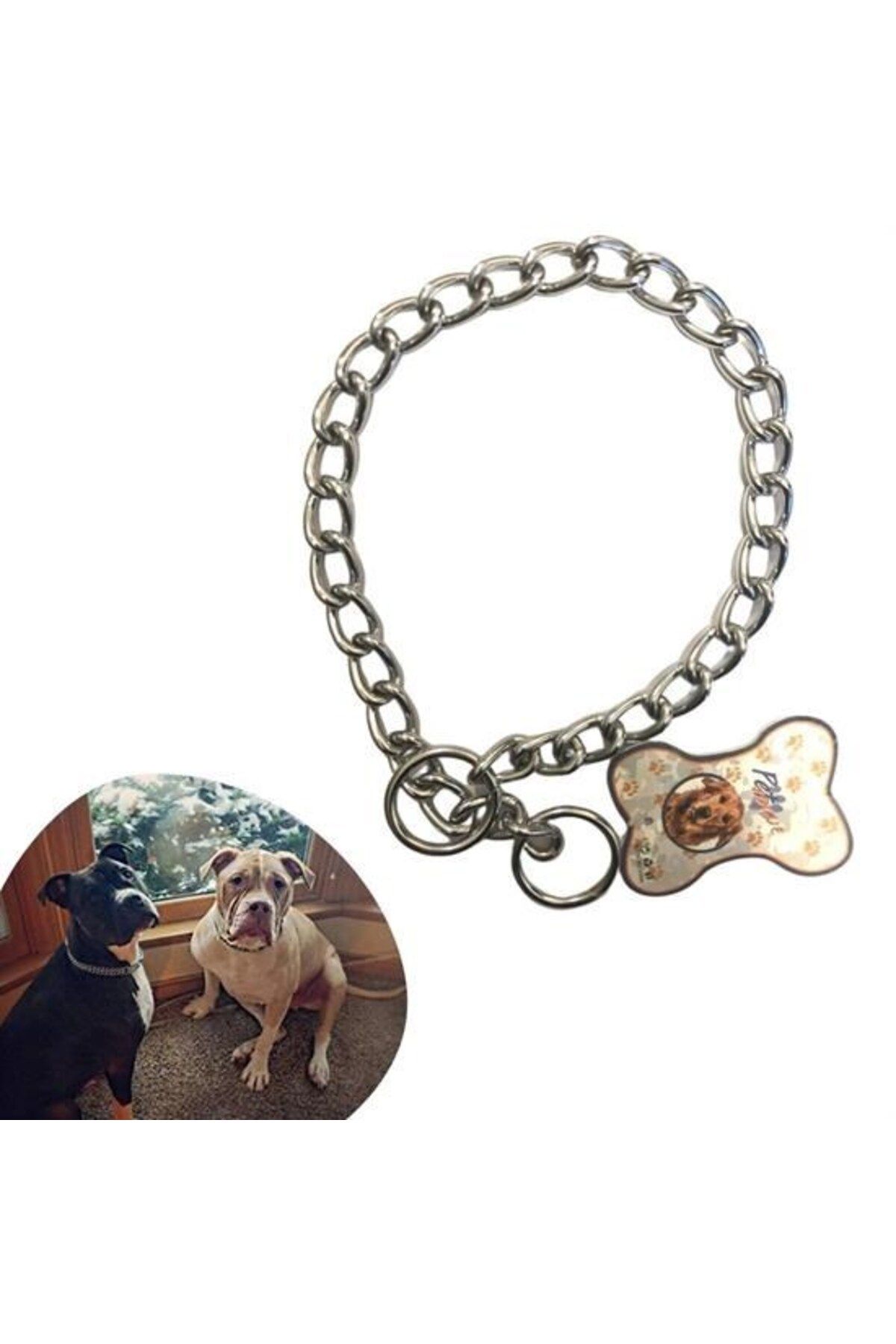 Nexora BUFFER® 65 cm Uzunlukta Zincir Model Köpek İçin Boyun Tasması