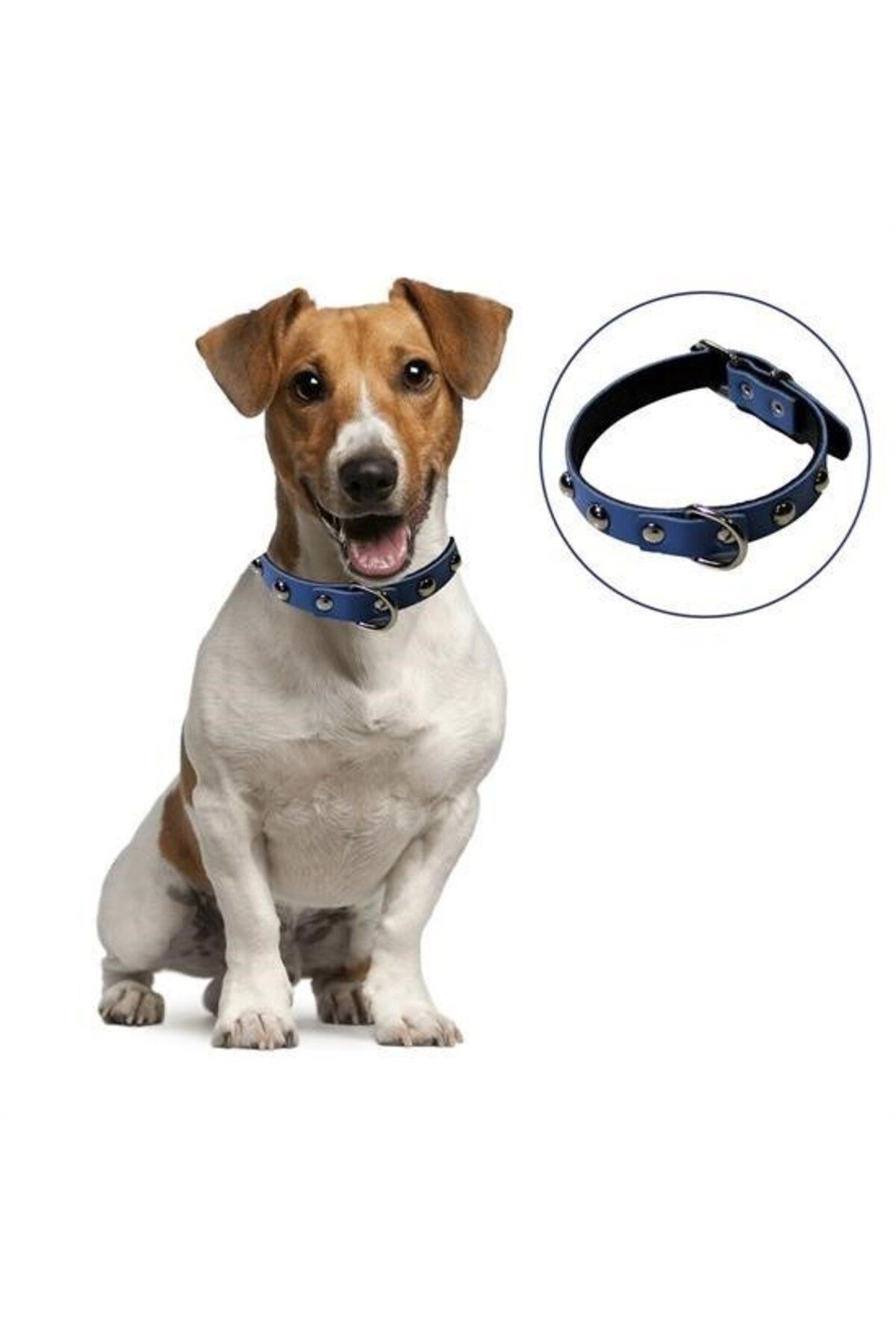 Biomak ® Yumuşak Dokulu Deri Köpek Gezdirme Boyun Tasması (Large)