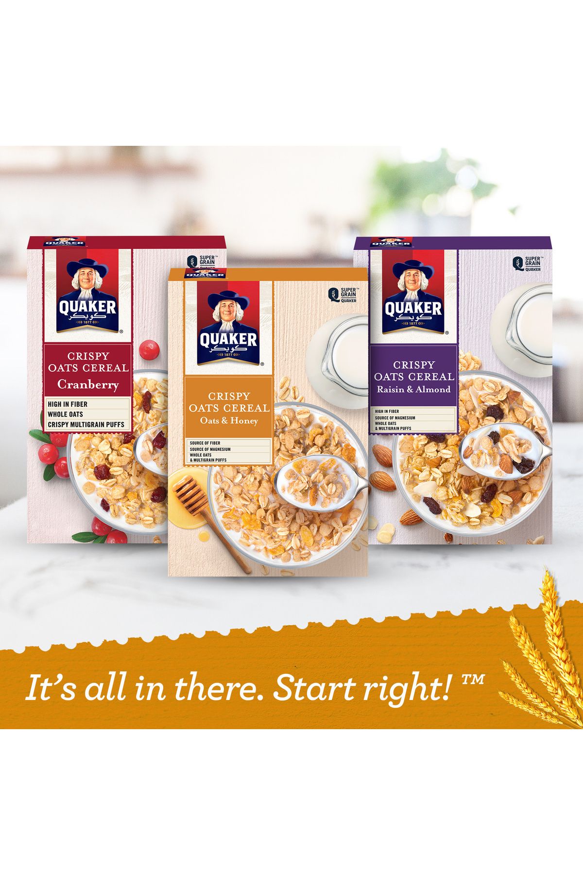 Quaker-Crispy Oats Cereal Oats & Honey Value Pack 400 g 8