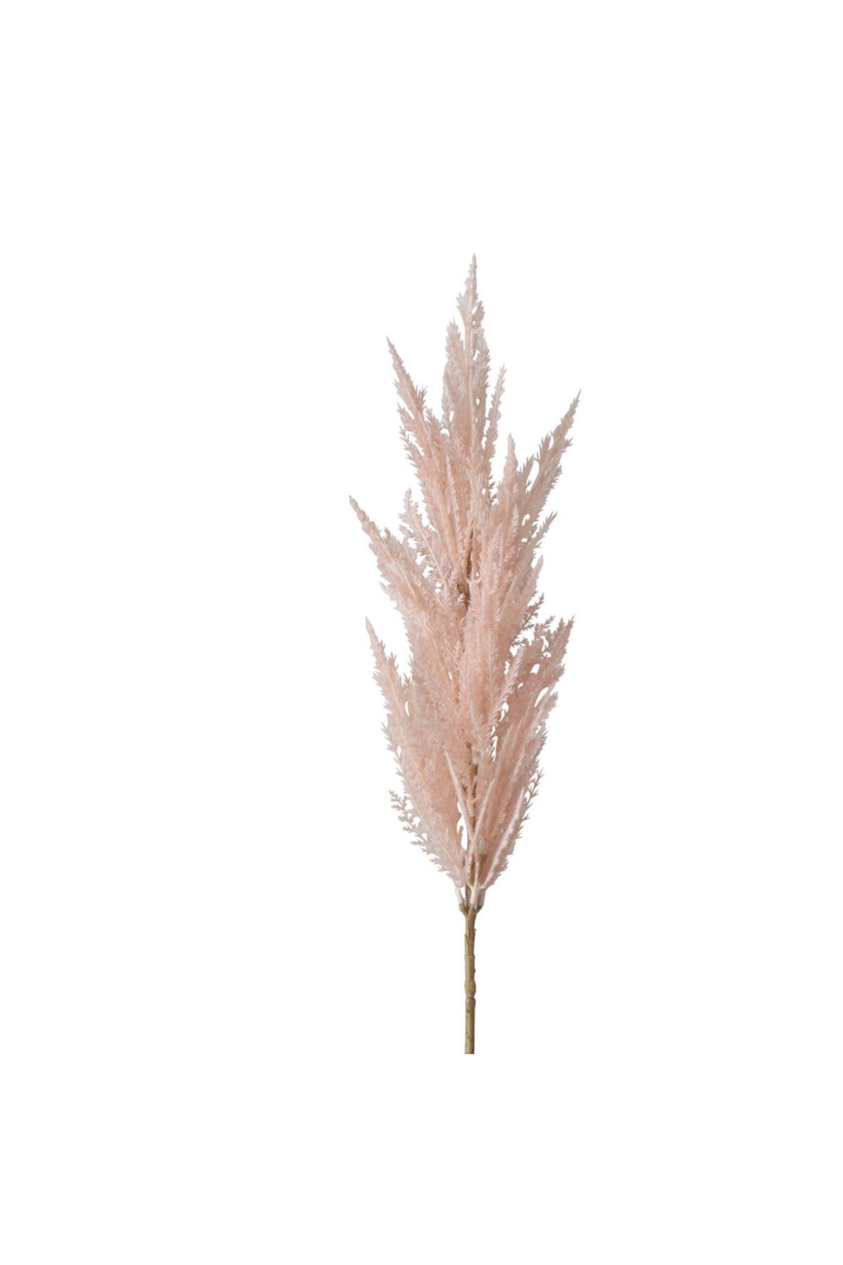Homelux-Pampas decoration plant 94 cm, light pink 2