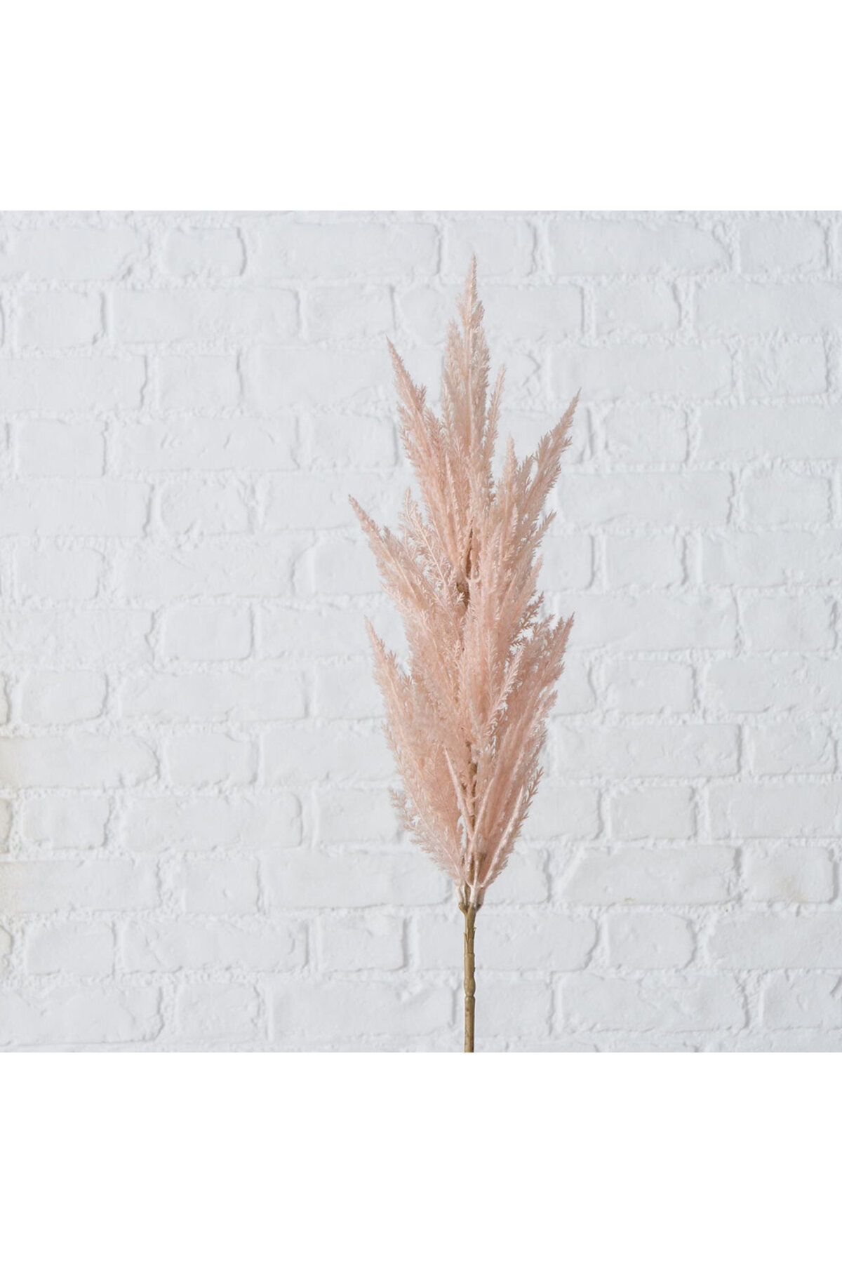 Homelux-Pampas decoration plant 94 cm, light pink 1
