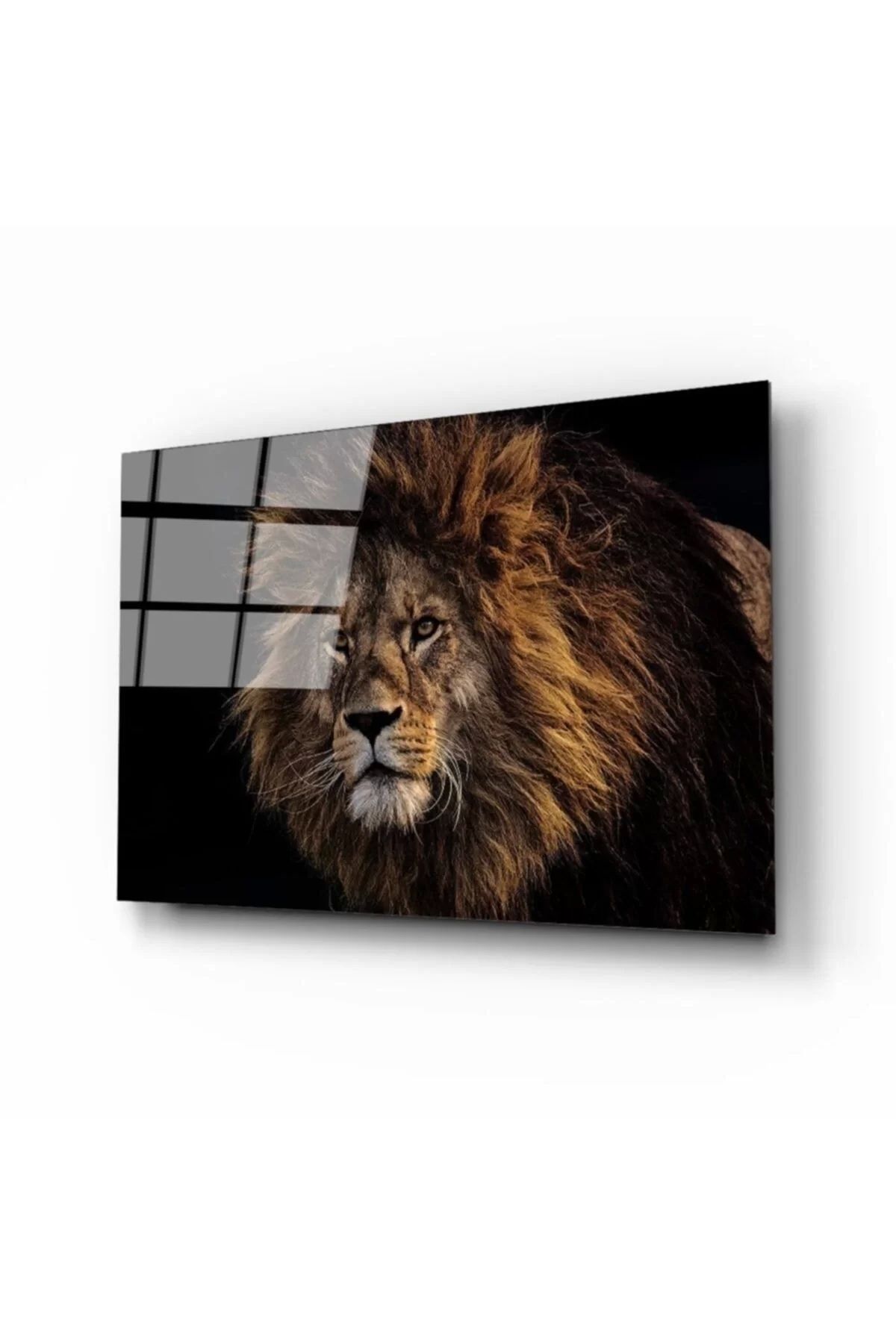 ÖYKÜ VE YİĞİT Aslan 9 Cam Tablo