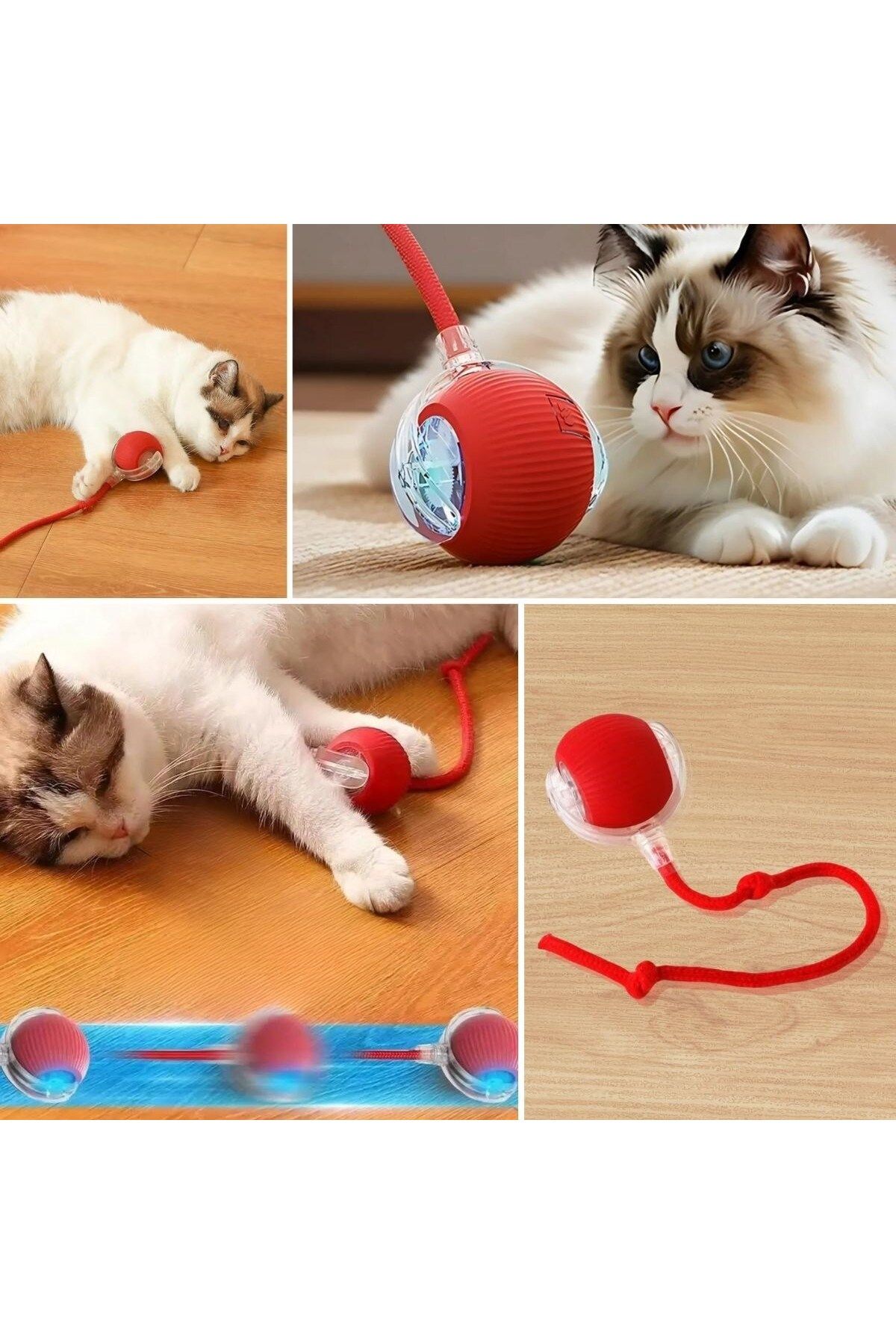 KfksStore Şarjlı Otomatik Hareketli Kedi Köpek İçin 360 Derece Dönen İnteraktif Akıllı Oyun Topu