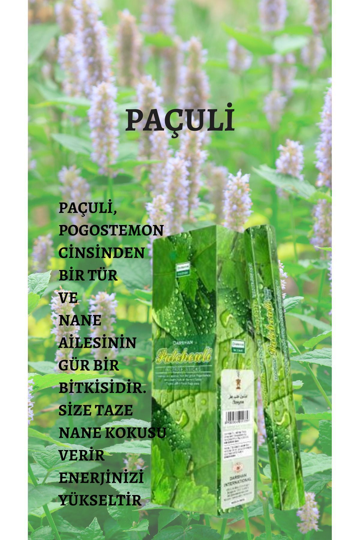Çare Burada Darshan Patchouli ( paçuli) Tütsü 20 Çubuk
