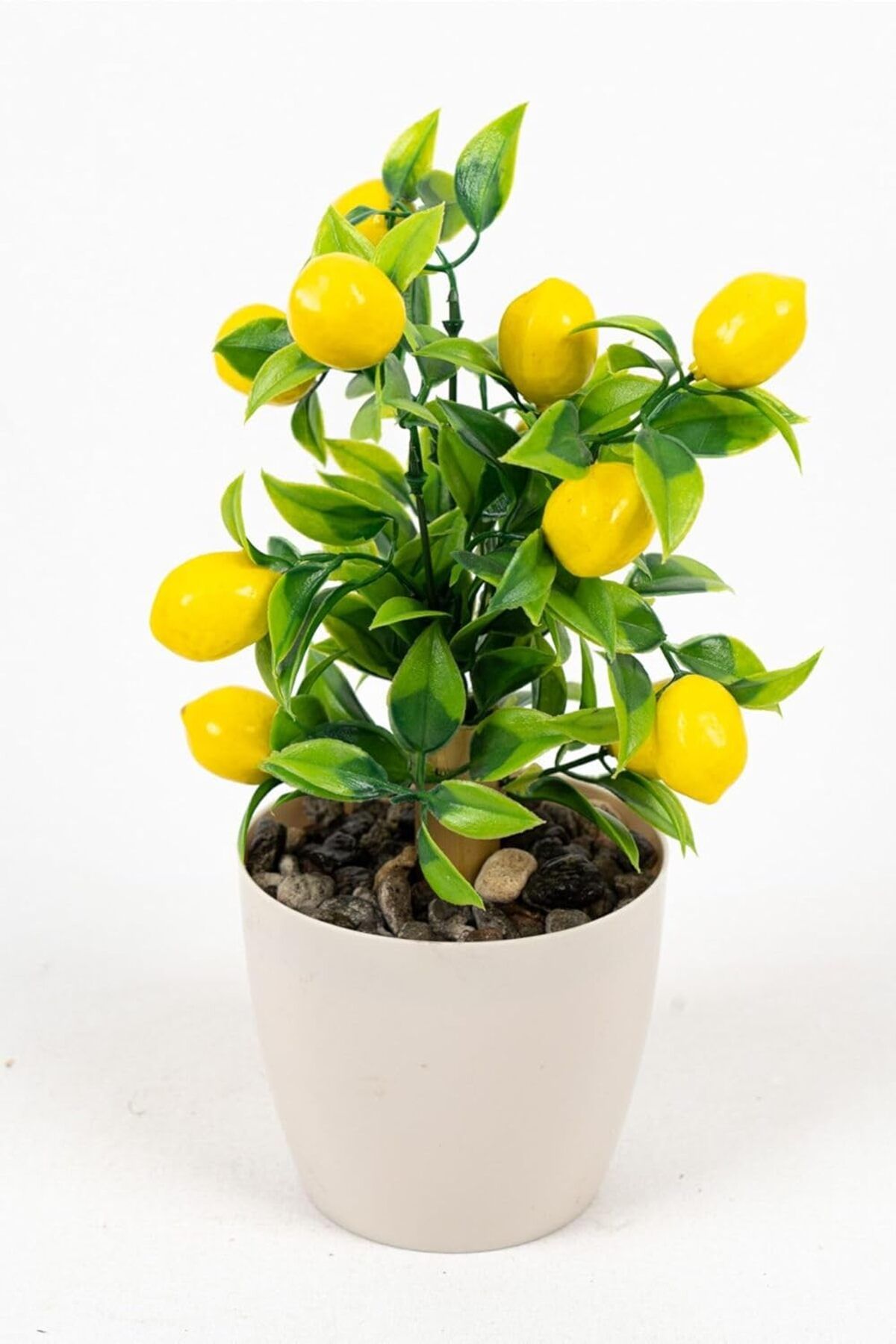 Mu Art Ahşap Mrt ÇİÇEKÇİNİZ Beyaz Plastik Saksıda Bambu Gövdeli Limon Ağacı 25 Cm Art 871301