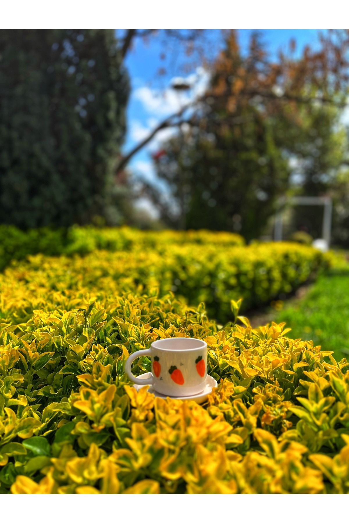fatmaeglenceramic el yapımı özel tasarım seramik hediyelik havuç desenli çay kahve fincanı