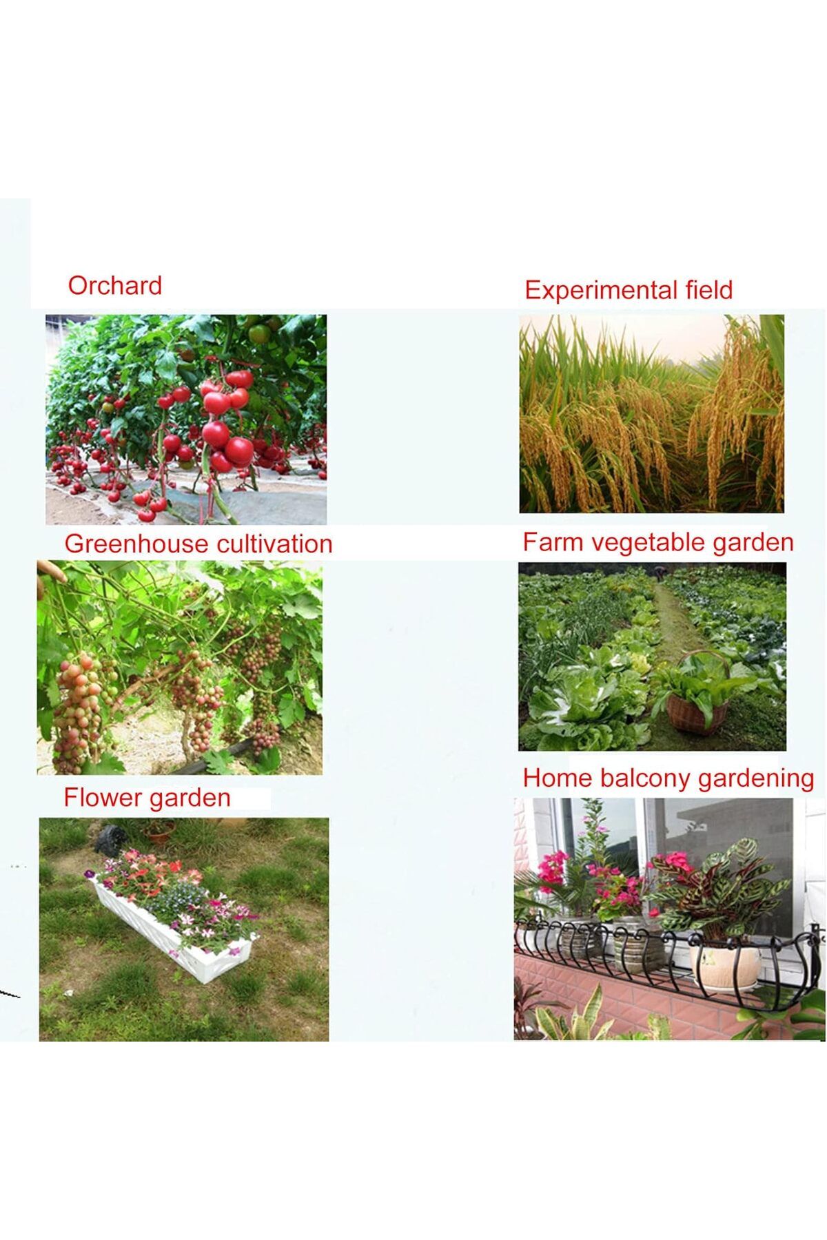COOYA-3-in-1 Soil Test Kit,Clear Reading,Rotatable Display,Metal probes,Fast & Accurate for Garden,Farm 7