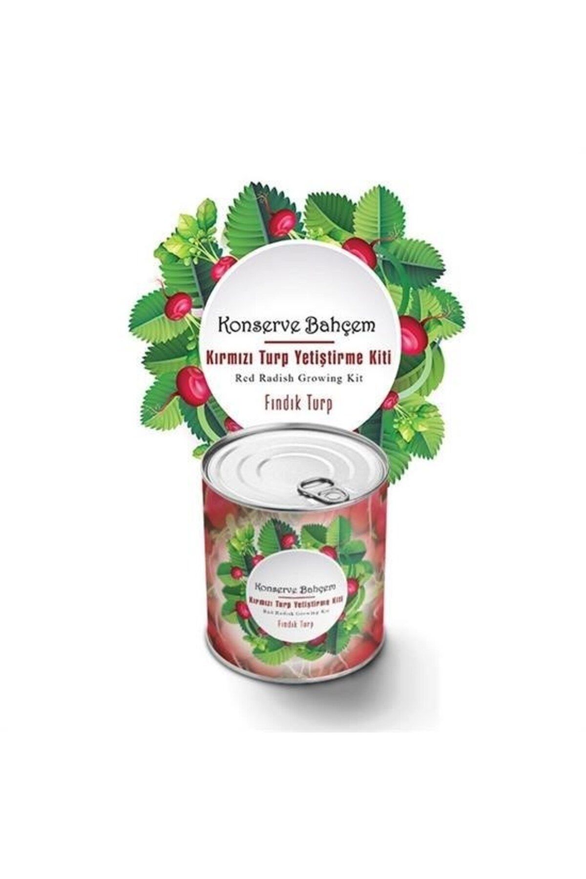 Allproduct ® Konserve Bahçem Evde Konservede Fındık Turp Yetiştirme Kiti