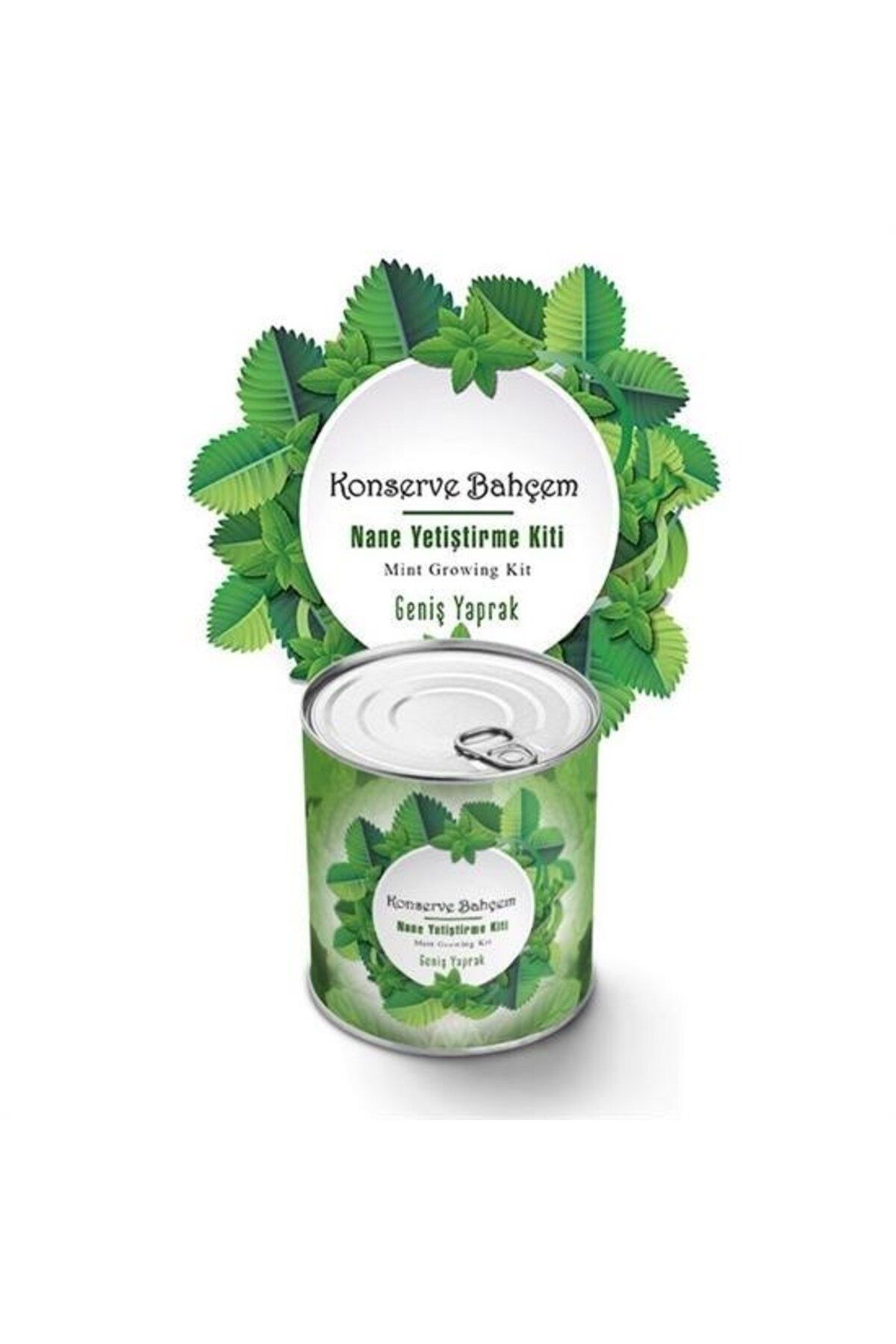 Bundanımolsun ® Konserve Bahçem Nane Yetiştirme Kiti