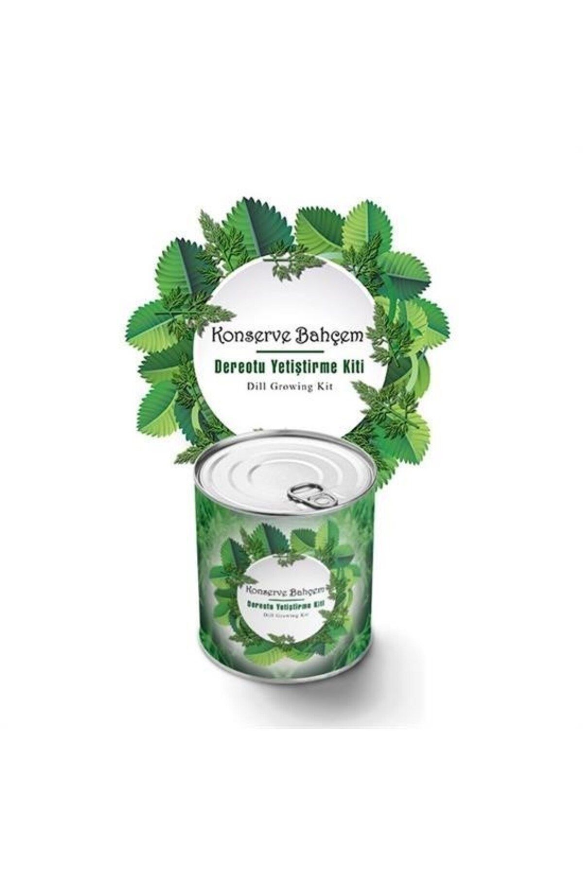 Nurum E Tİcaret BUFFER® Konserve Bahçem Evde Konservede Dereotu Yetiştirme Kiti Aparatı