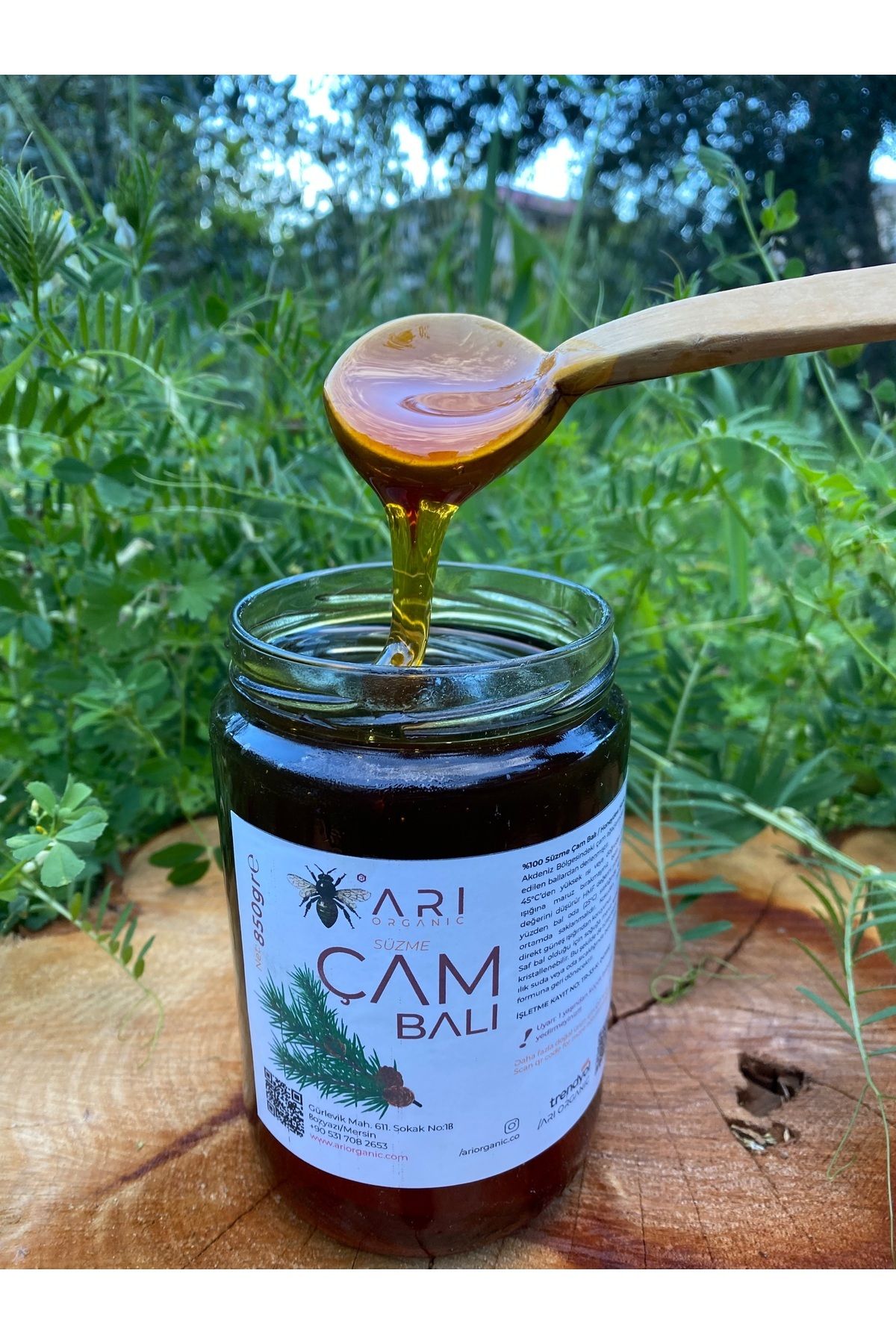 ARI ORGANIC Doğal Anamur Çam Balı 850gr Hakiki (TANITIM AMAÇLI)