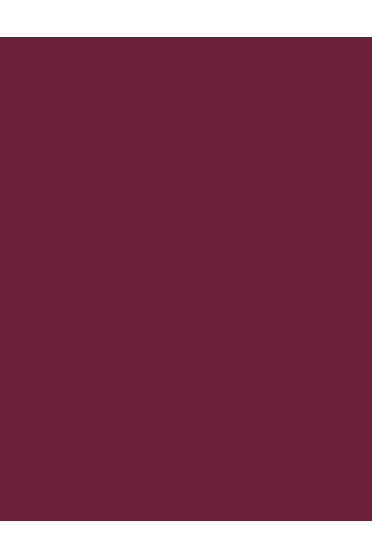 Flormar-SILK MATTE LLS-15 PRETTY PLUM 4