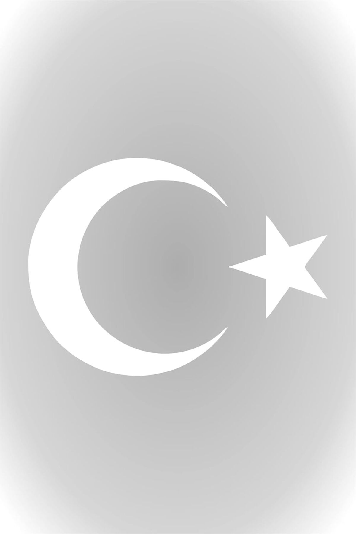 STOREMAX Aksesuar Ay Yıldız Sticker Türk Bayrağı Sticker 10 x 7,5 cm Beyaz ELZFRNTR 1127478