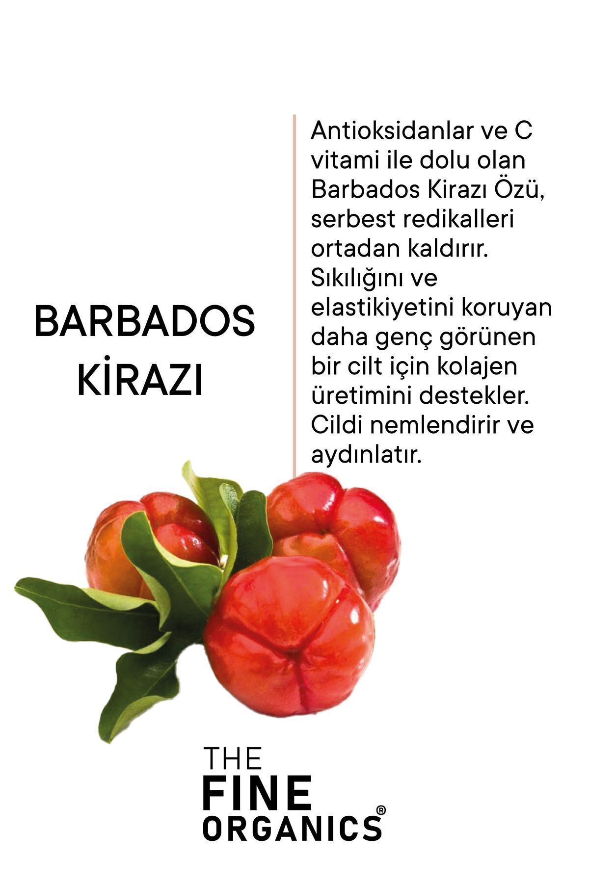 سرم پوست روشنایی عصاره گیلاس باربادوس و ویتامین C 30 میل THE FINE ORGANICS