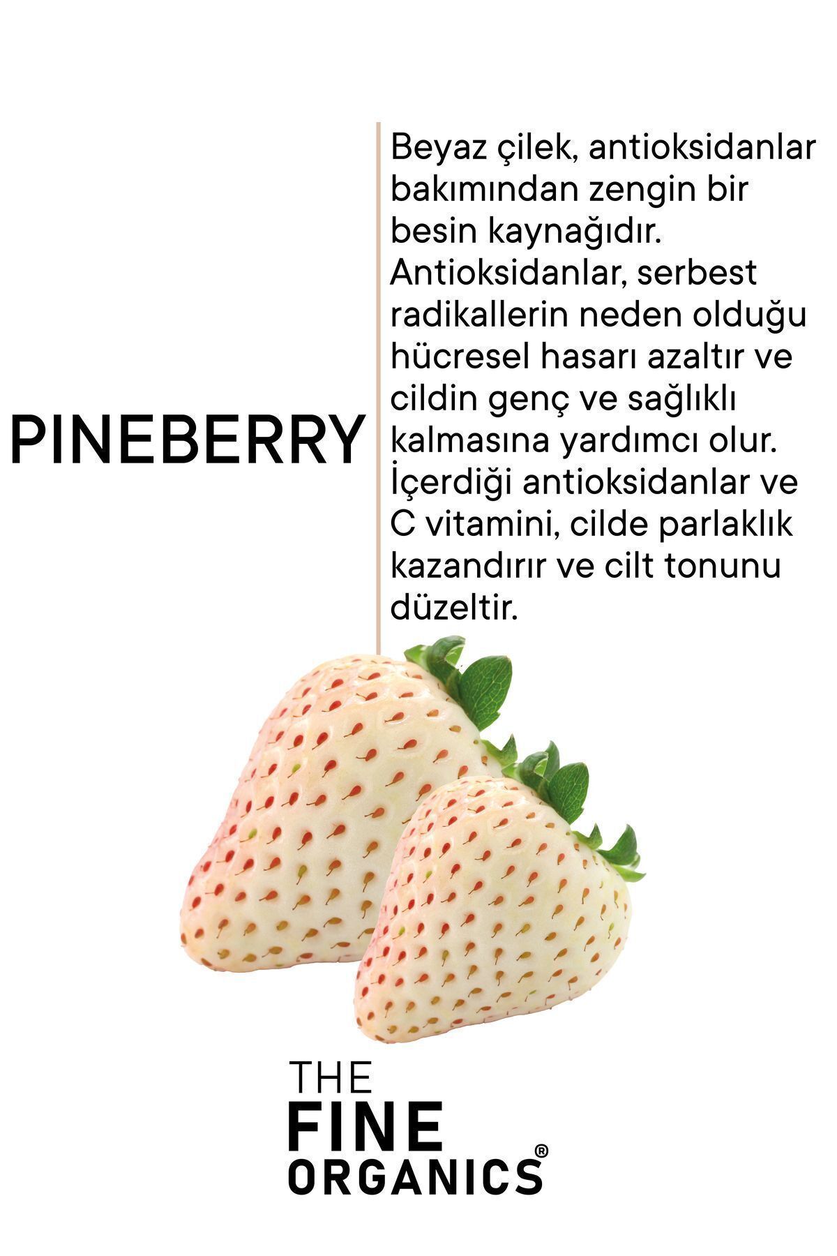 دئودورانت و رول آن مردانه زنانه عرق پیشگیری سفید کننده THE FINE ORGANICS