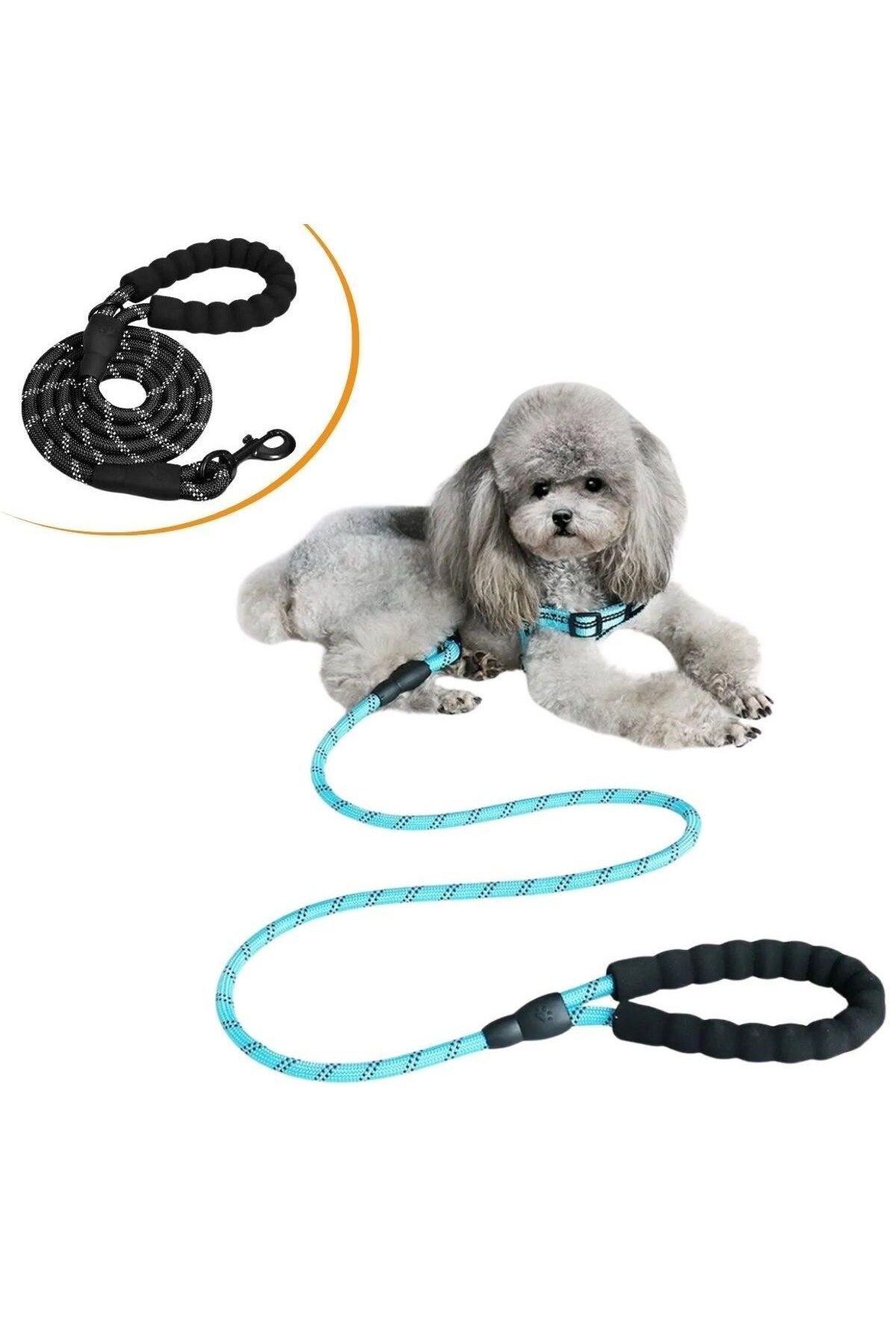 Biomak ® Reflektörlü Fosforlu Köpek Gezdirme Halatı Tasma Kayışı Metal Kancalı 130 cm