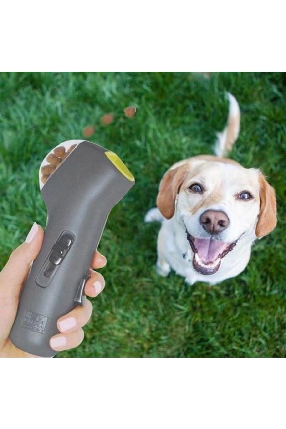 COLLECTİON Kedi Köpek mama fırlatma oyuncağı Hazneli Yem Atıcı Aparat