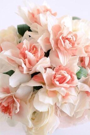 4 Adet Soft Pembe Renkli Nergis Çiçeği Soğanı Kokulu Katmerli YSNYHFYT2967
