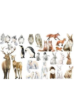 Vahşi Yaşam El Çizimi Hayvan Çıkartmaları Duvar Sticker KTM8890682