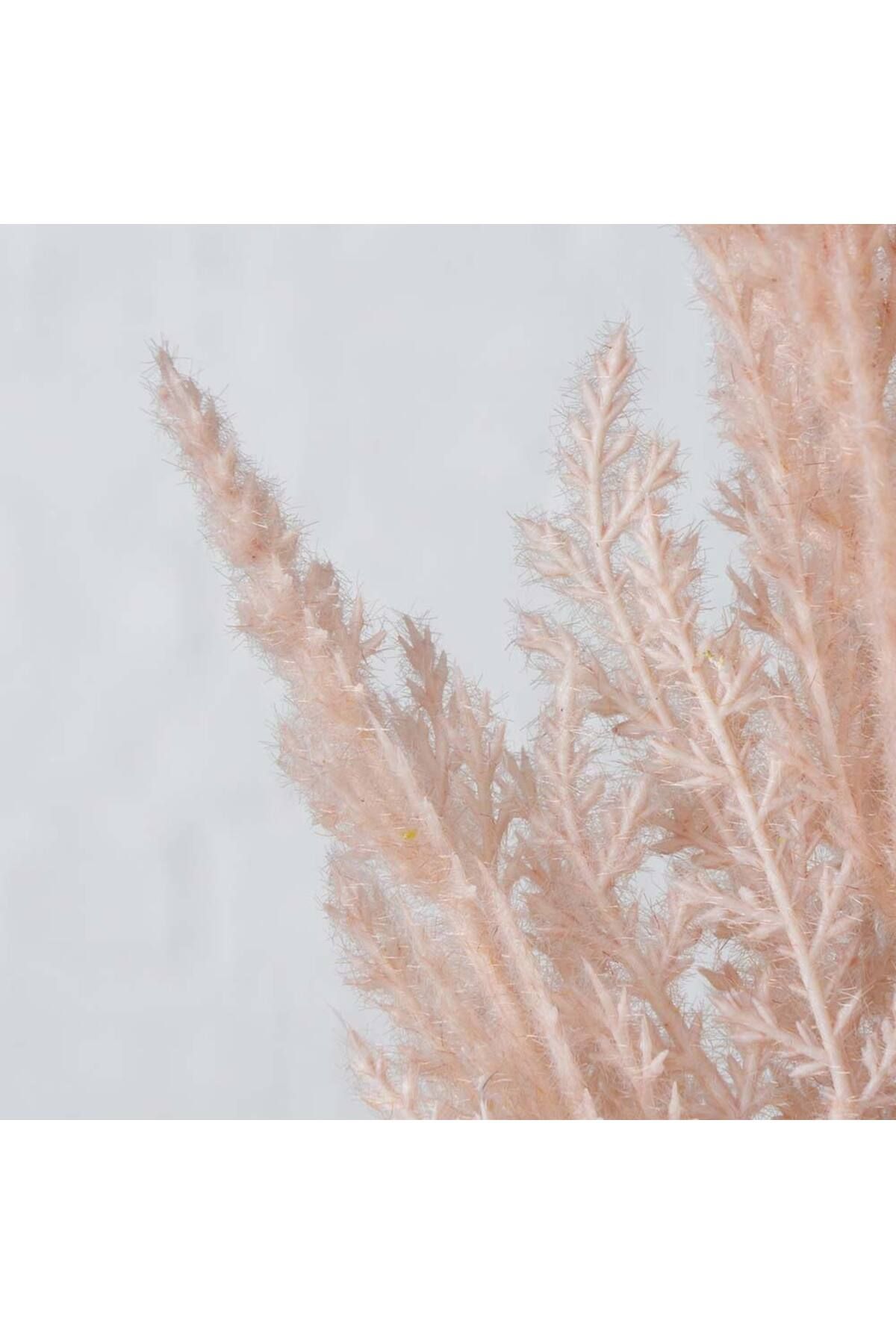 Homelux-Pampas decoration plant 94 cm, light pink 4