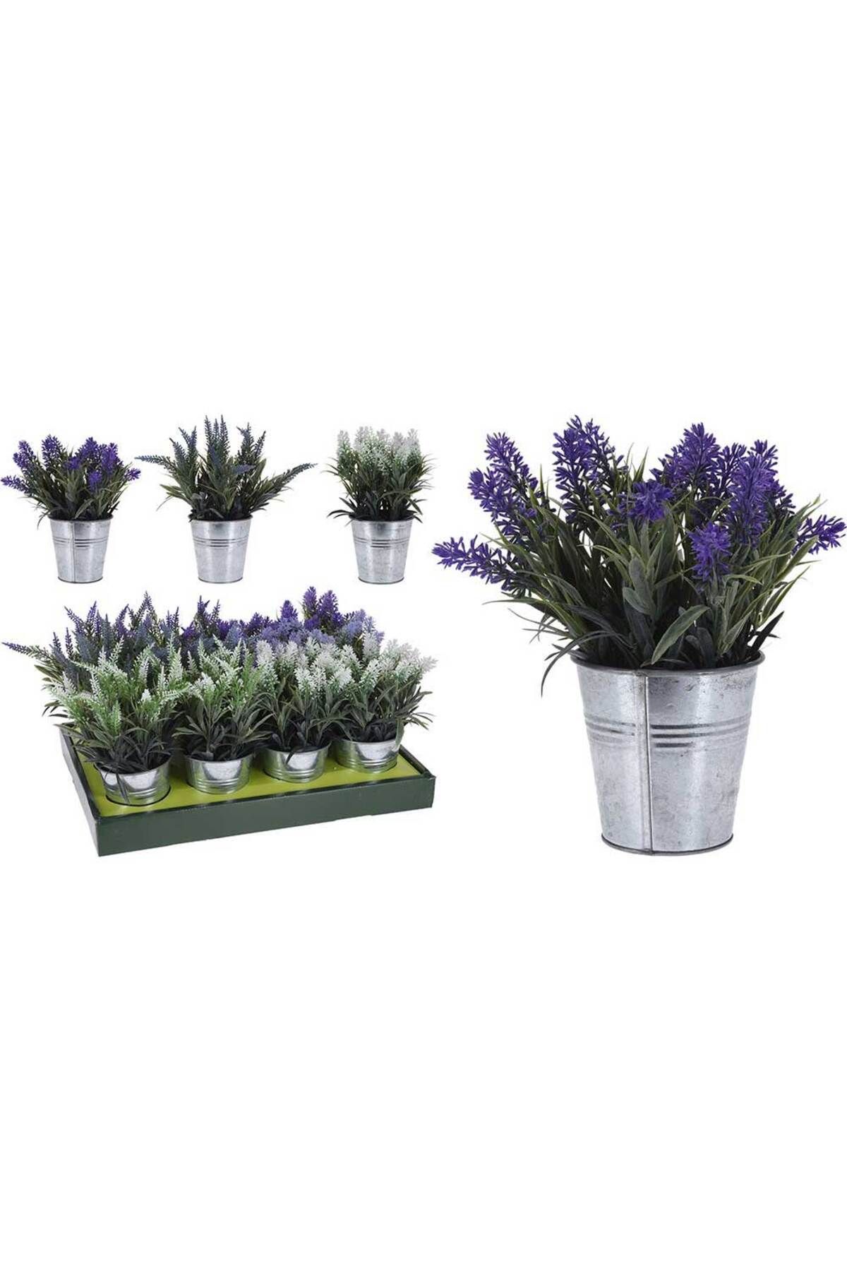 Homelux-Planta decor lavandă, 24 cm, disponibilă în 6 variante 1
