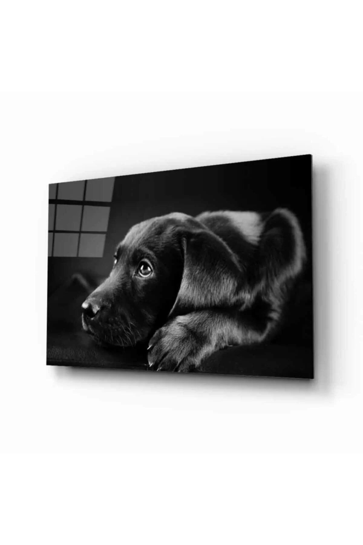 ÖYKÜ VE YİĞİT Köpek 8 Hayvan Cam Tablo