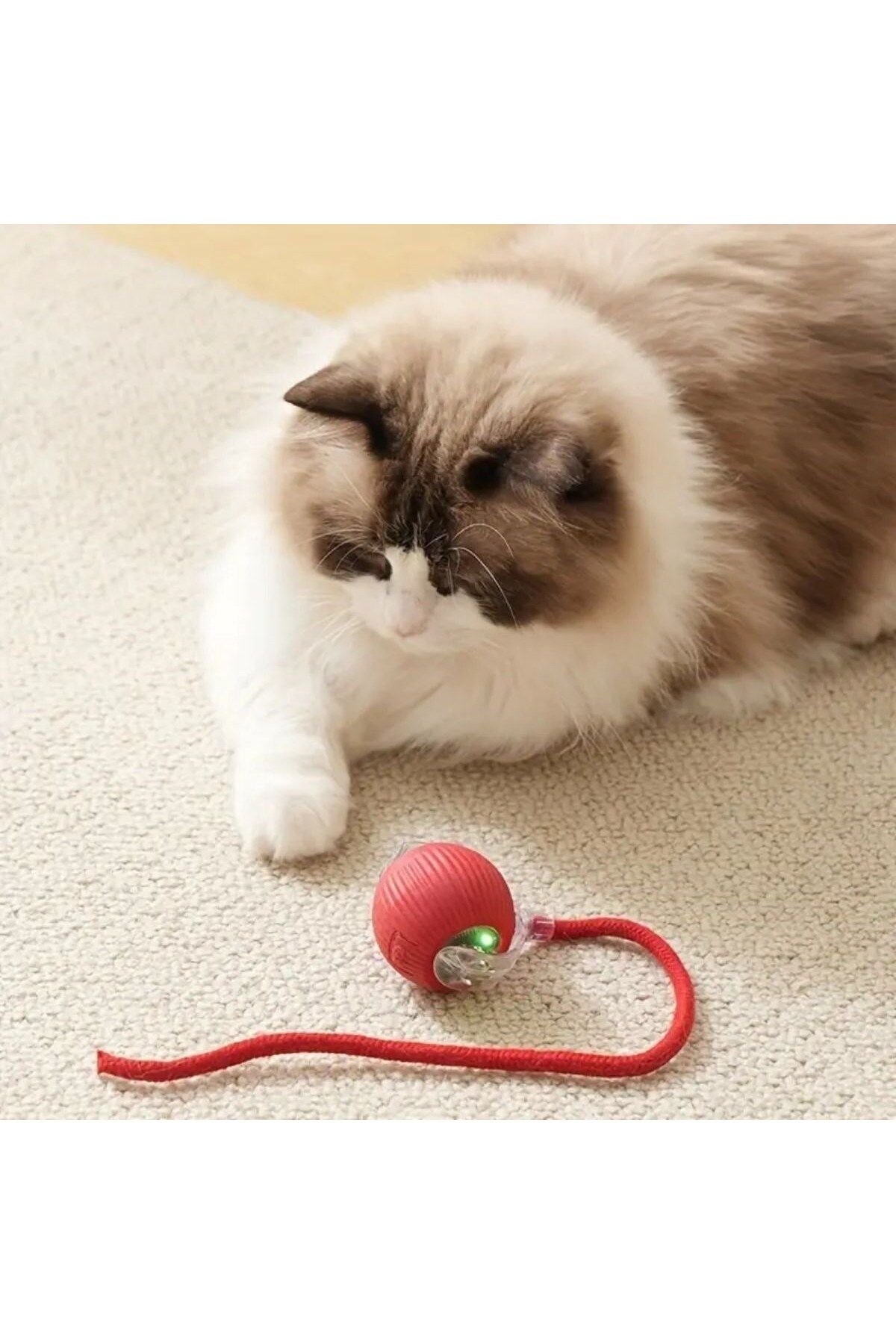 COLLECTİON kedi köpek oyun topu Şarjlı Otomatik Hareketli Kedi Köpek İçin 360 Derece Dönen İnteraktif Akıllı