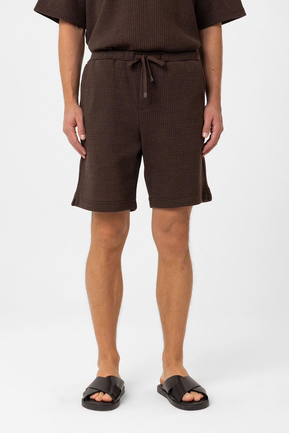 Antioch-Brown Textured Relaxed Men's Shorts 3