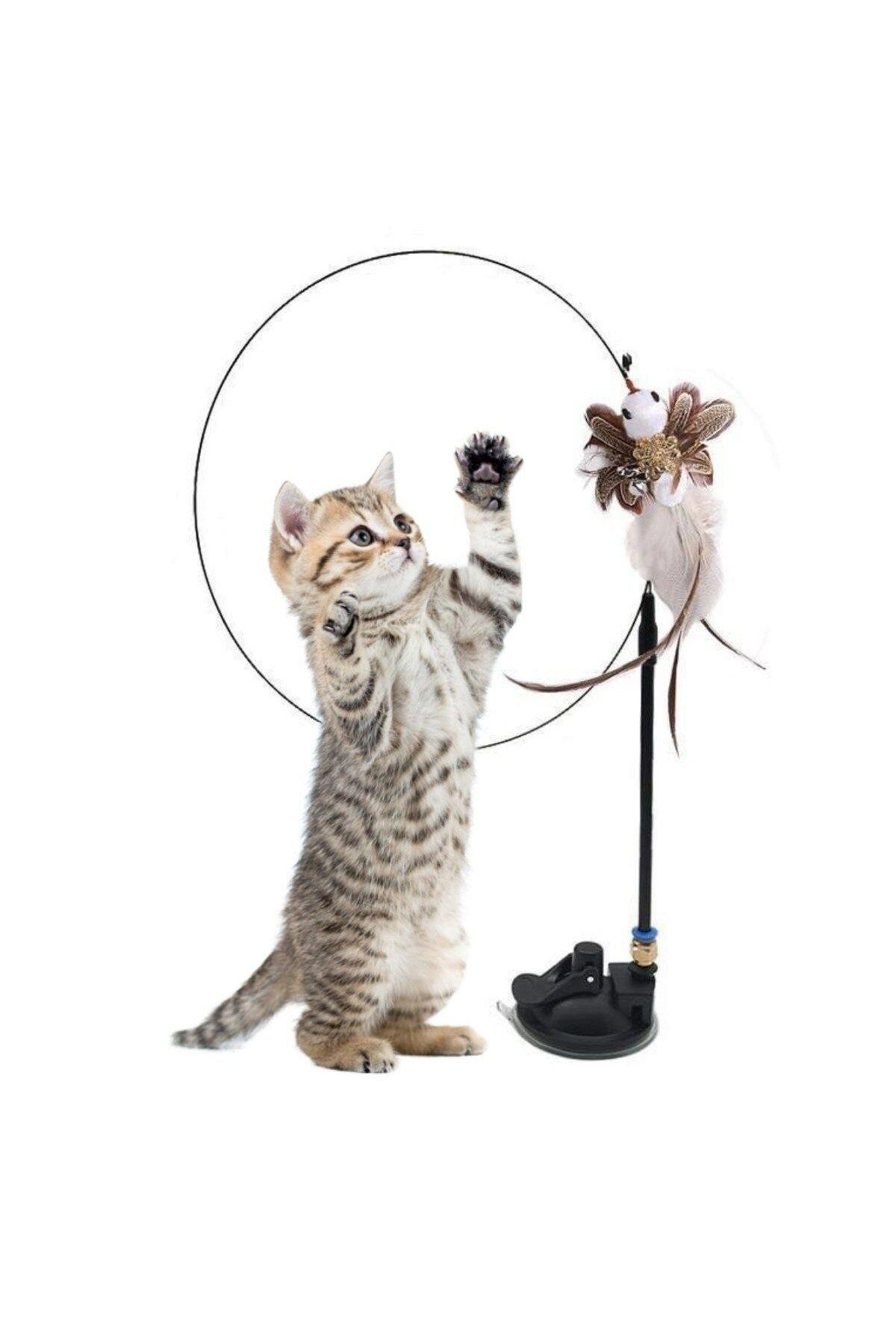 COLLECTİON olta kedi oyuncağı Vantuzlu Tüylü Zilli Olta Kedi Oyuncağı 2 Oltalı
