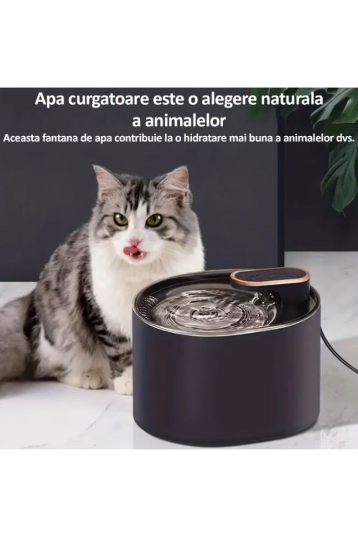 NO NAME Dispenser Automat De Apa Pentru Pisici Si Caini, Capacitate 3l, Fitru De Carbune, Silentios - One Size
